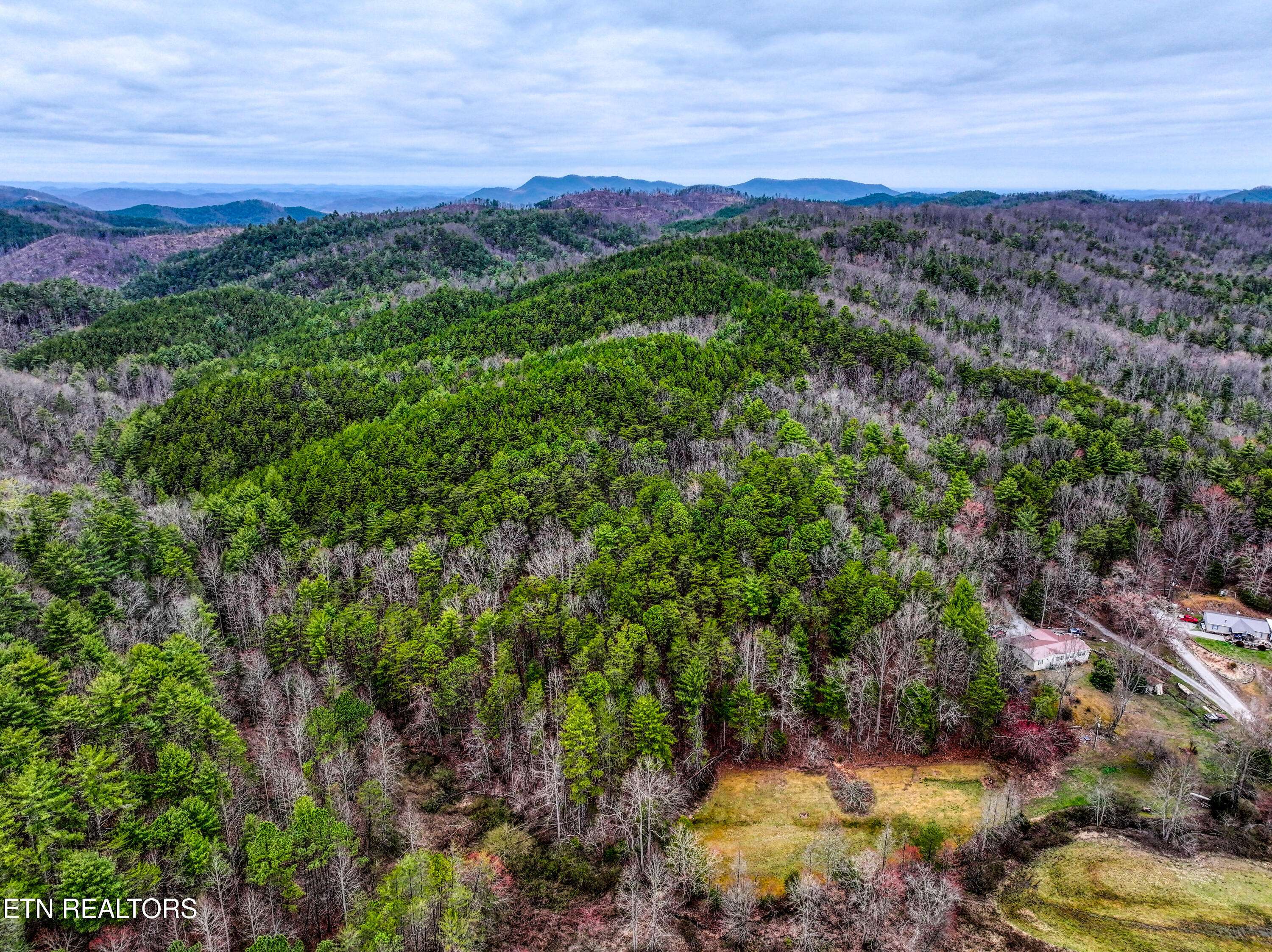 Tellico Plains, TN 37385,57.09 acs Rafter Rd