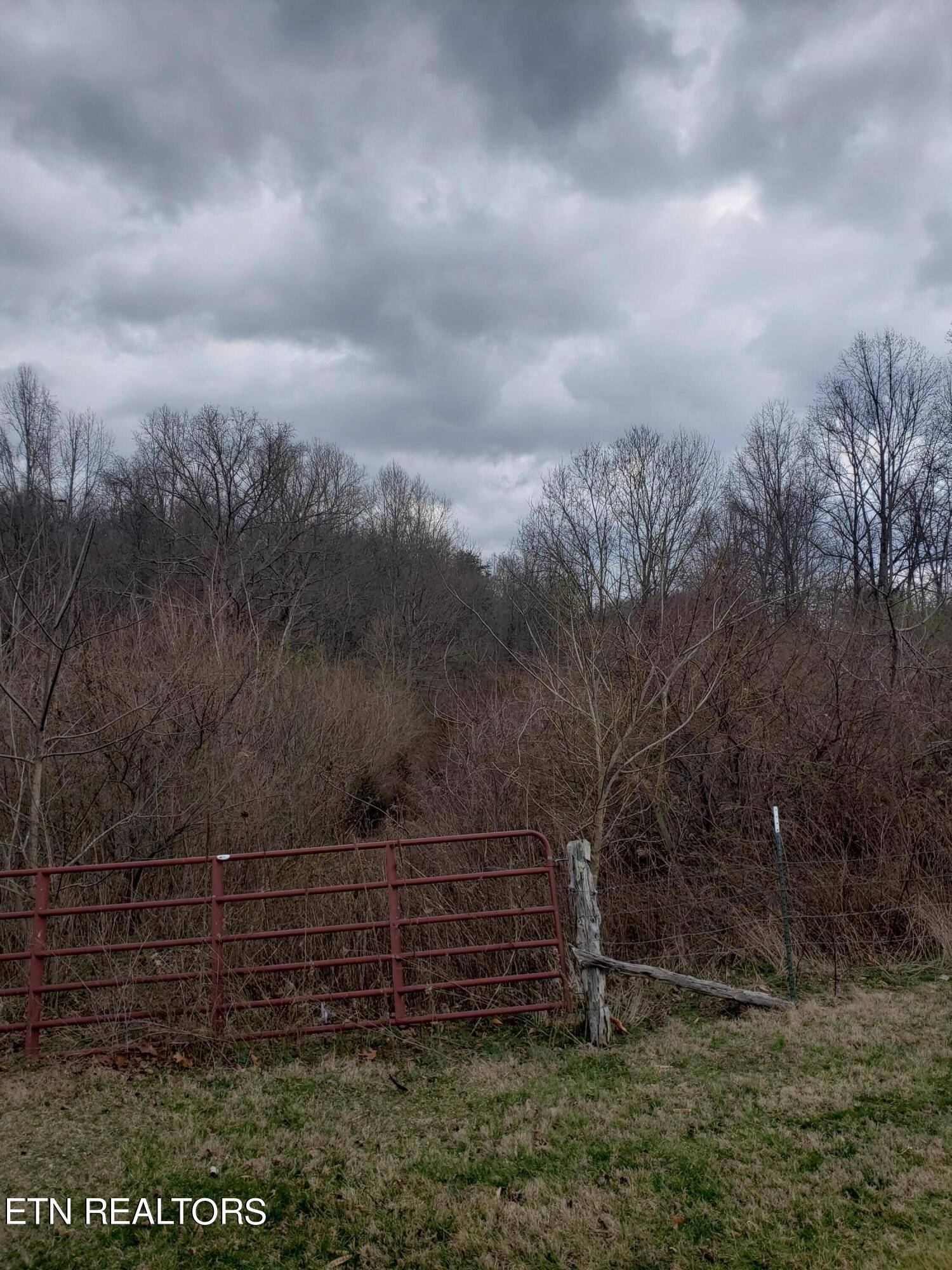 Lafollette, TN 37766,High Knob Rd