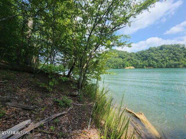 New Tazewell, TN 37825,304 Lot Bluff View Rd