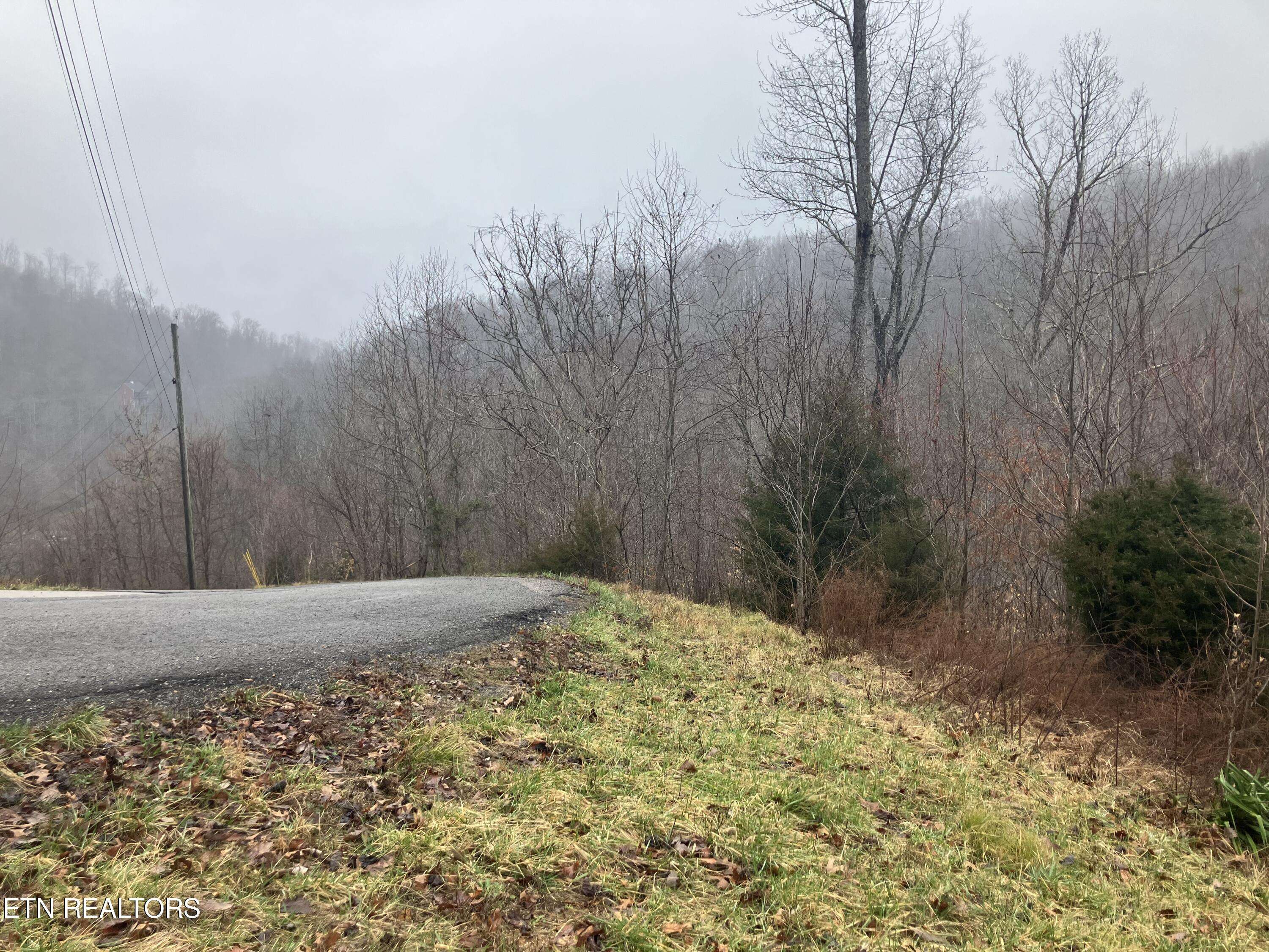 Maynardville, TN 37807,Lot 24 Emerald Cove WAY