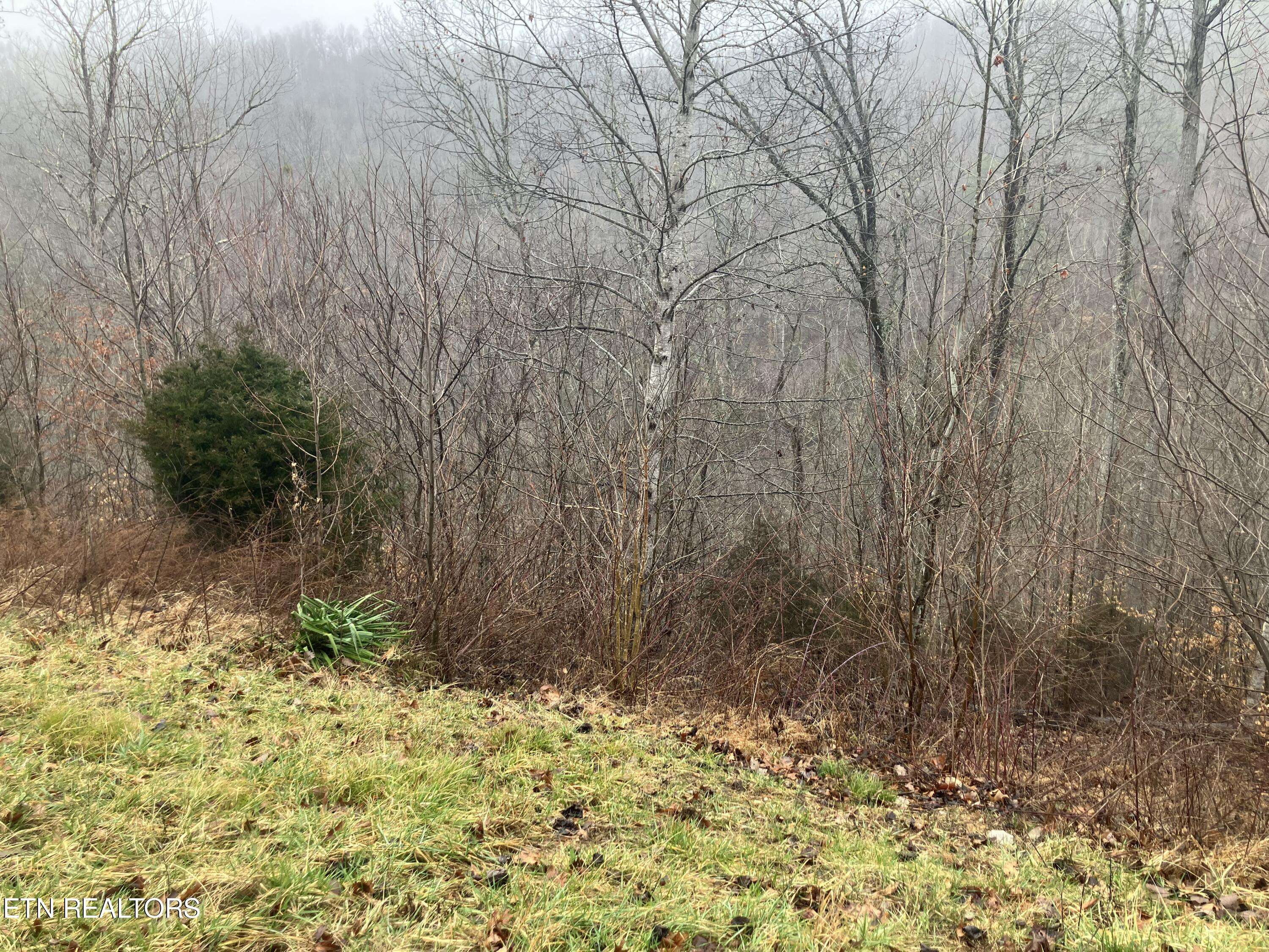 Maynardville, TN 37807,Lot 24 Emerald Cove WAY