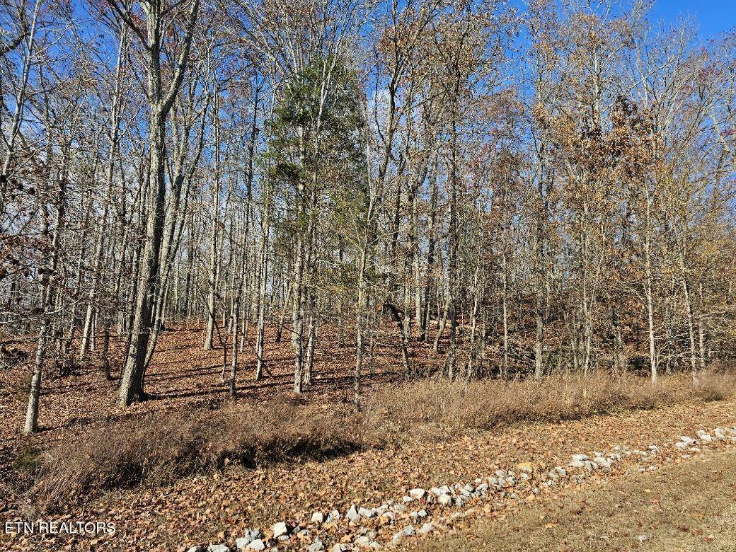 Rockwood, TN 37854,Lot 137 E. Shore DR