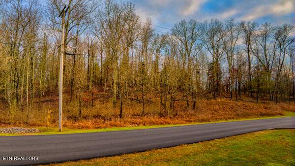 Rockwood, TN 37854,Lot 230 New Hope Rd