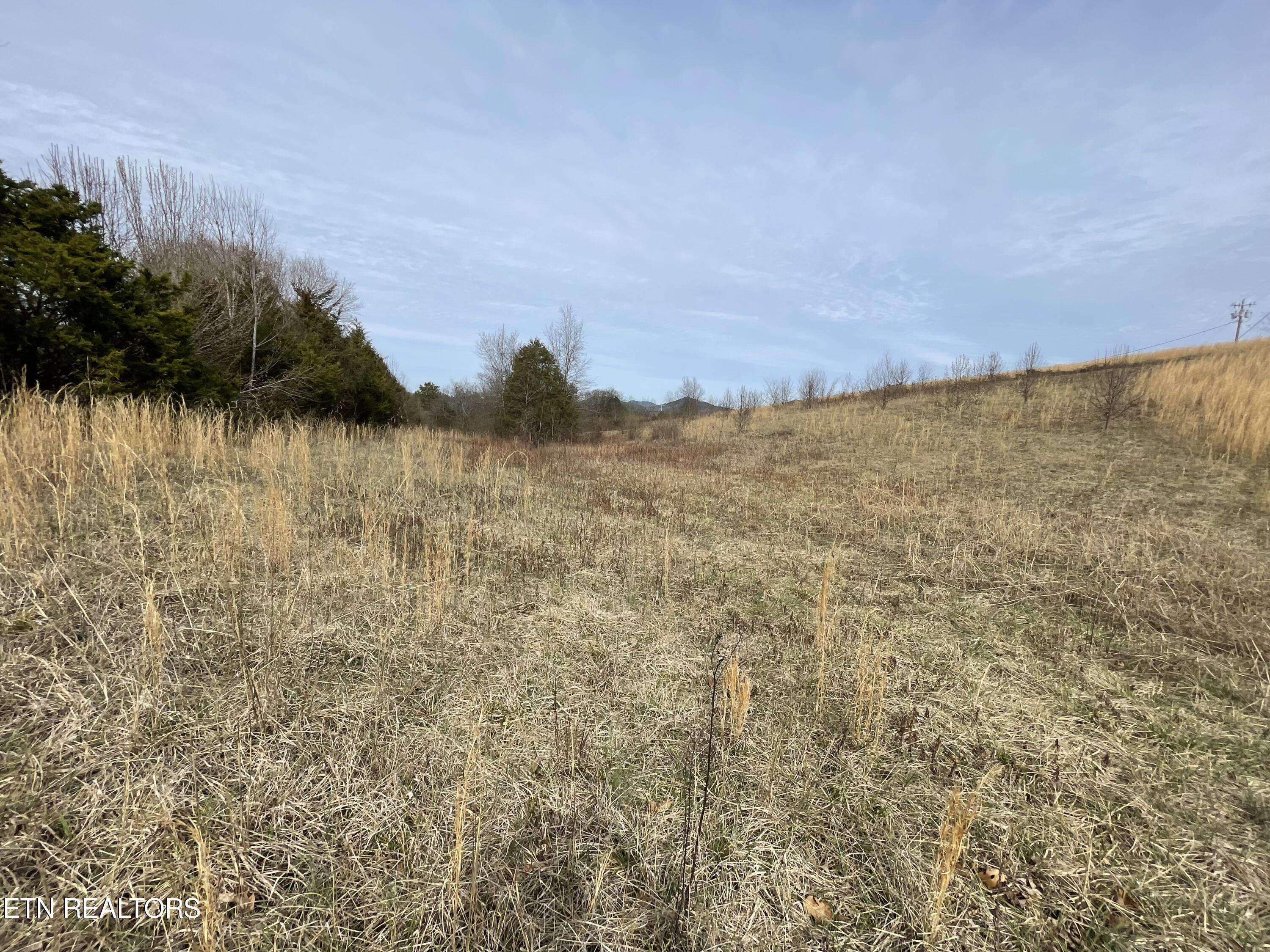 Tellico Plains, TN 37385,2.51ac High St