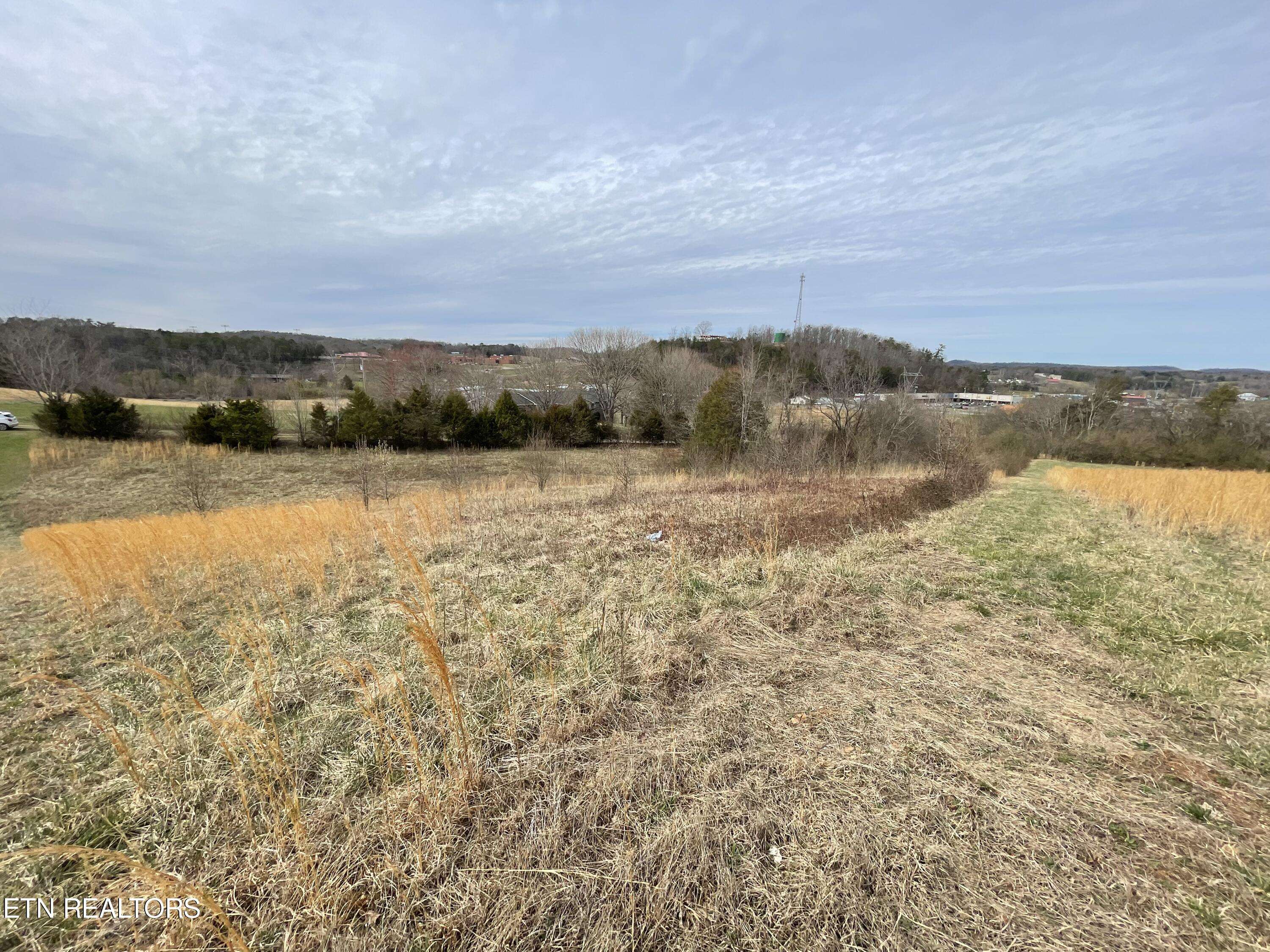 Tellico Plains, TN 37385,2.51ac High St