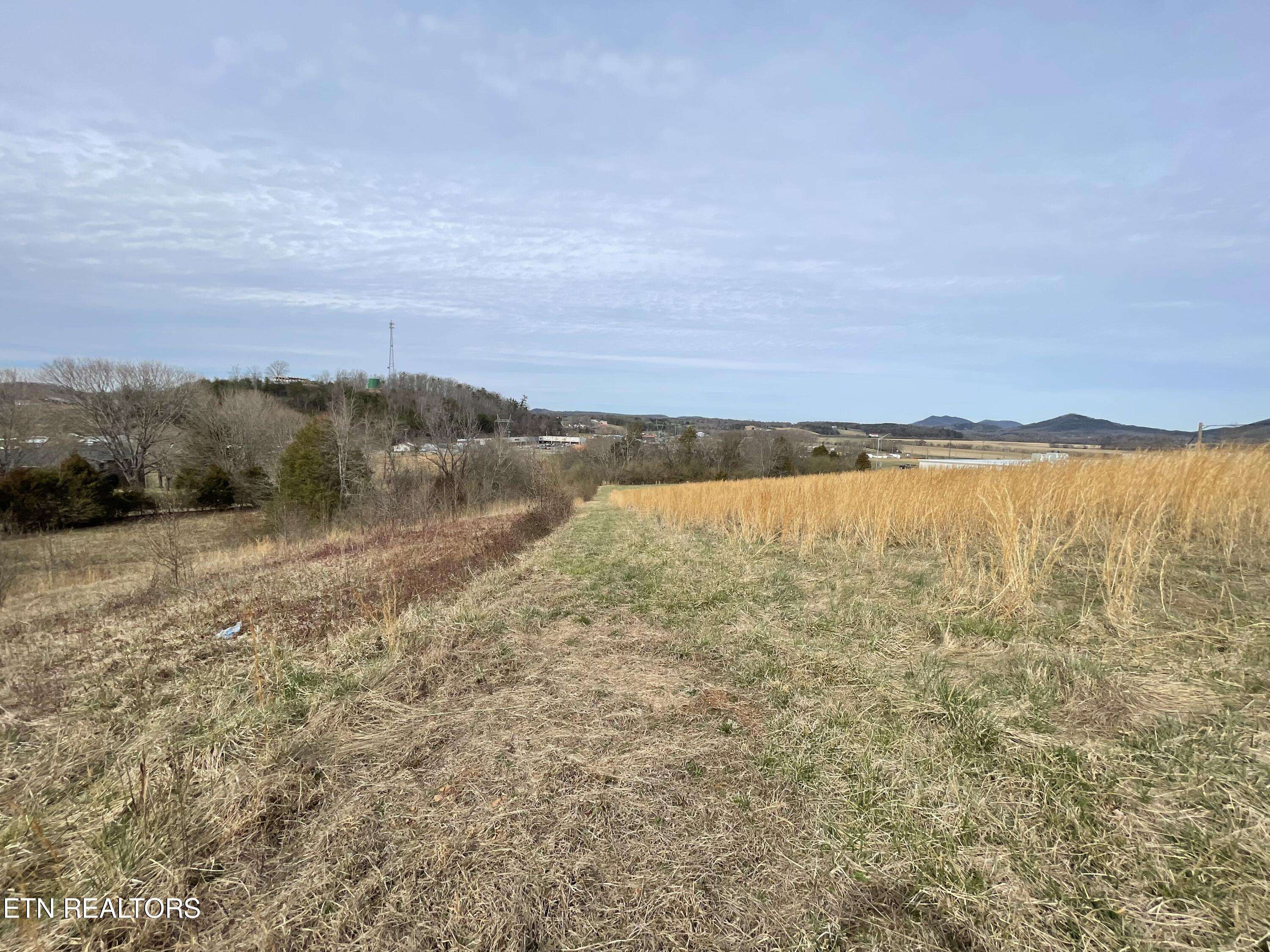 Tellico Plains, TN 37385,2.51ac High St