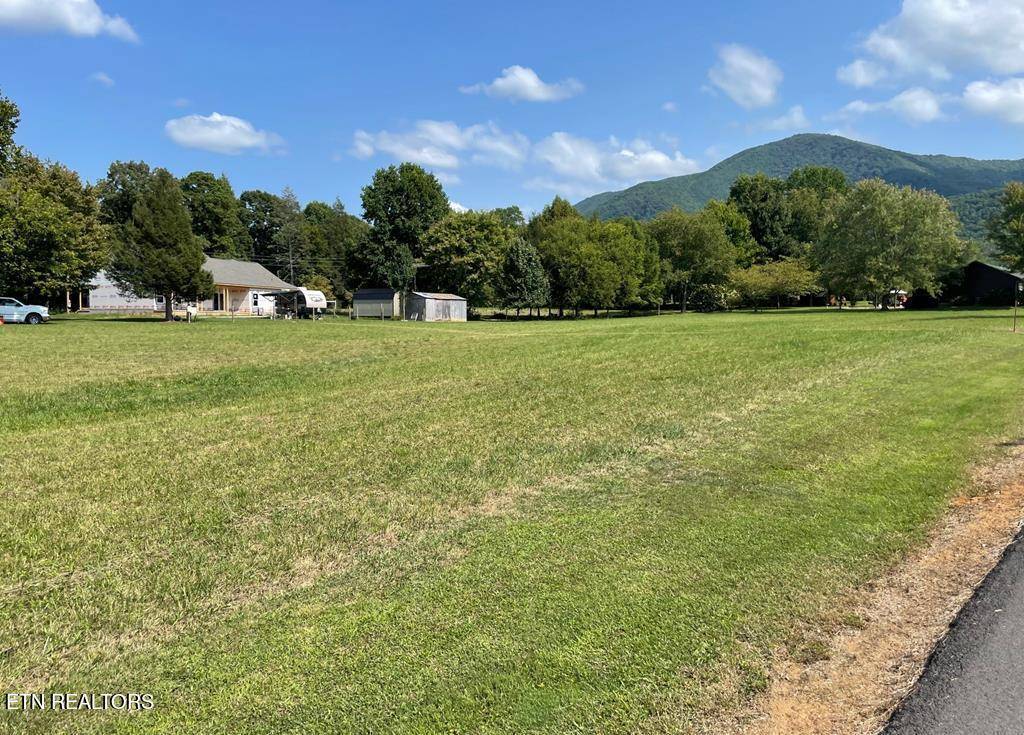 Sevierville, TN 37862,Lot 20 Huskey LN