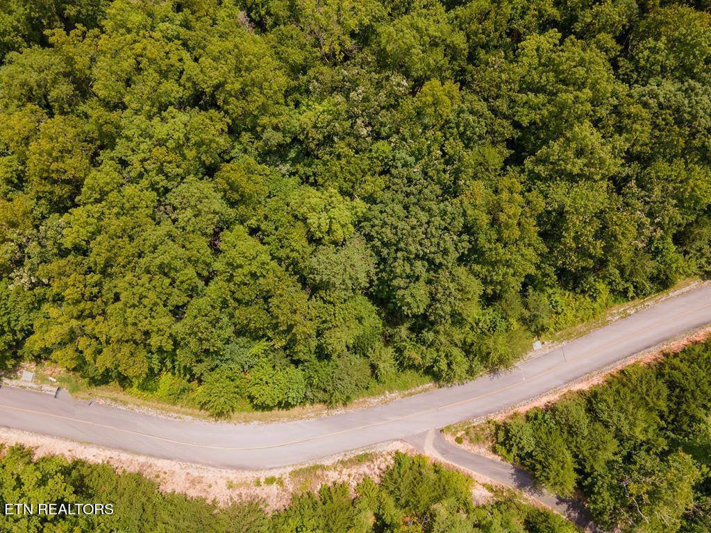 Sevierville, TN 37862,Lot 146E Settlers View LN