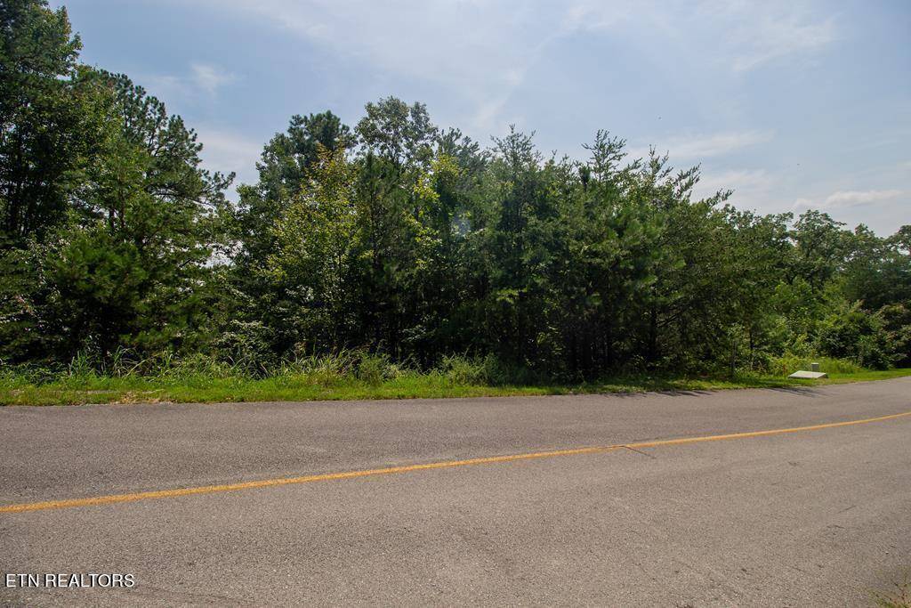 Sevierville, TN 37862,Lot 146E Settlers View LN