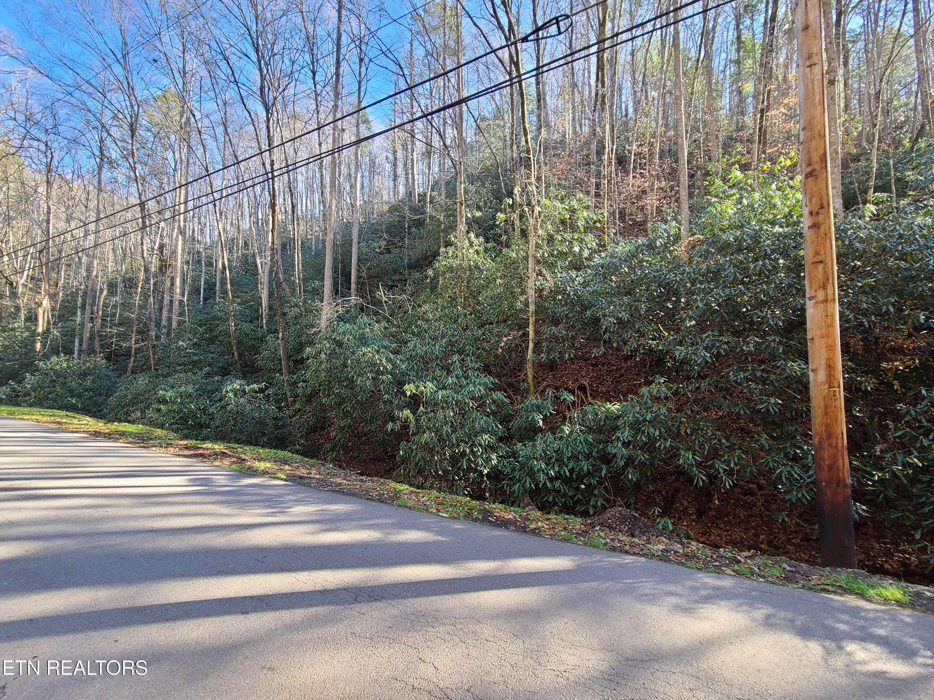 Gatlinburg, TN 37738,Lot 17 Butler Branch Rd