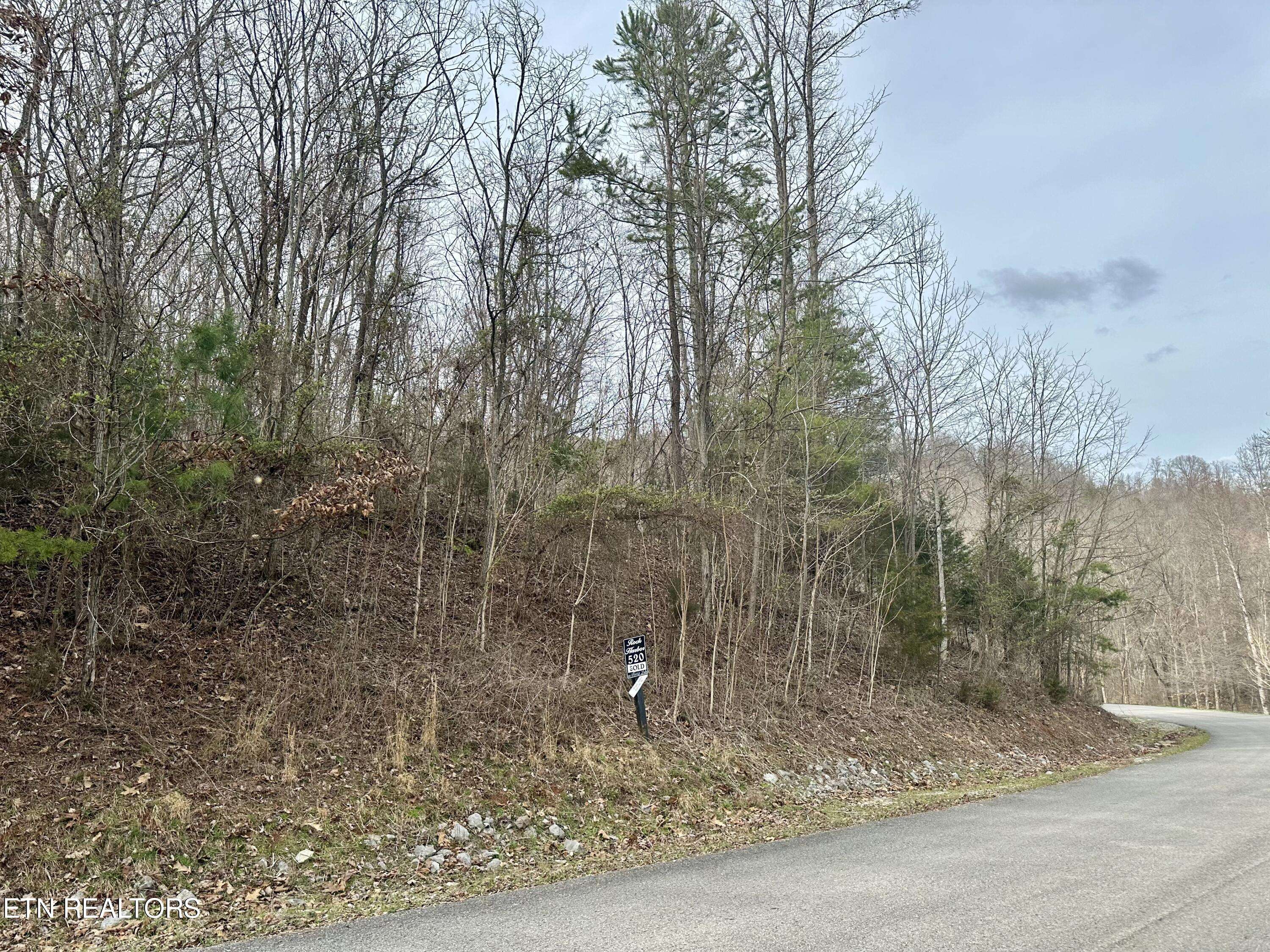 New Tazewell, TN 37825,Lot 520 Mystic Star DR