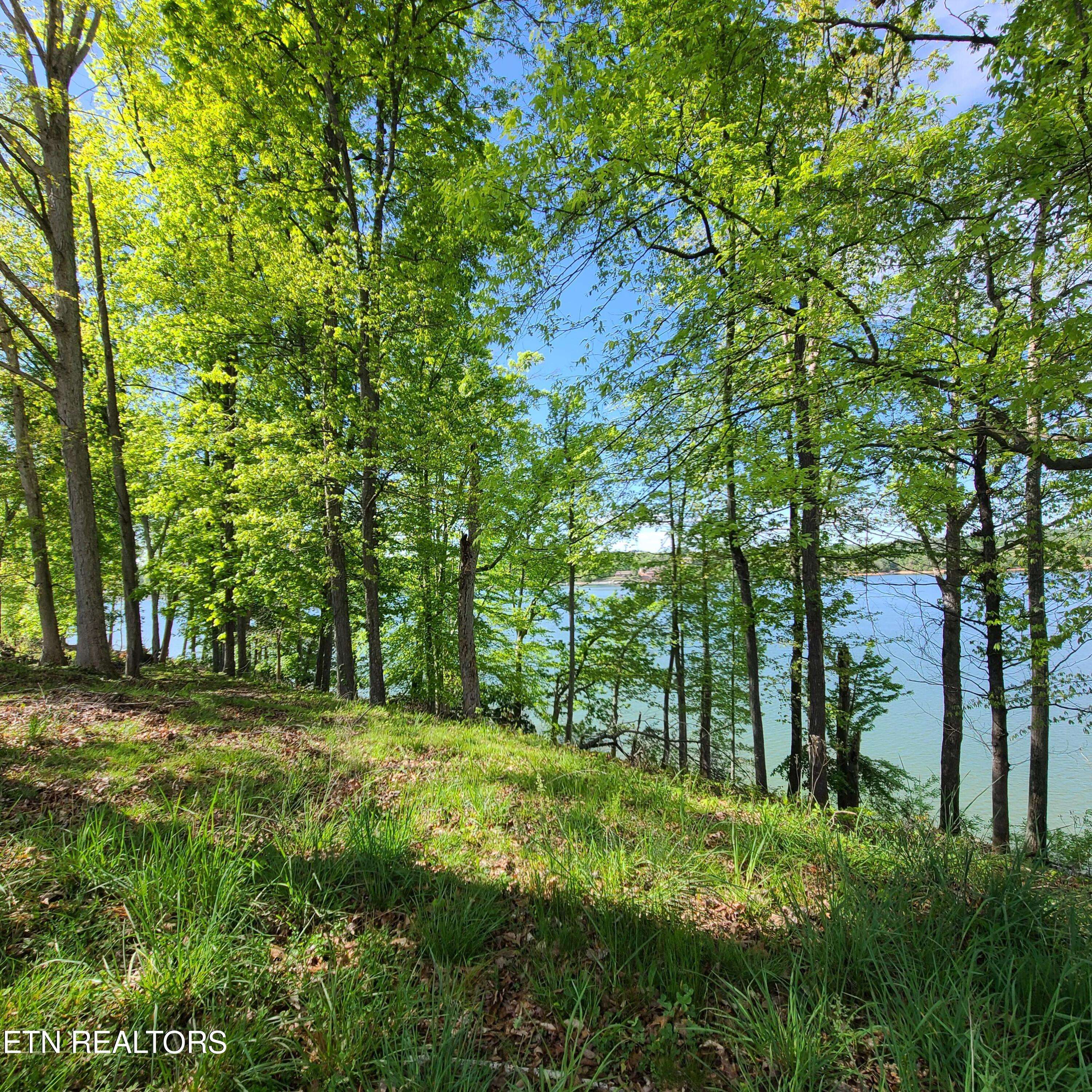 Dandridge, TN 37725,Lot 21 David Swann DR