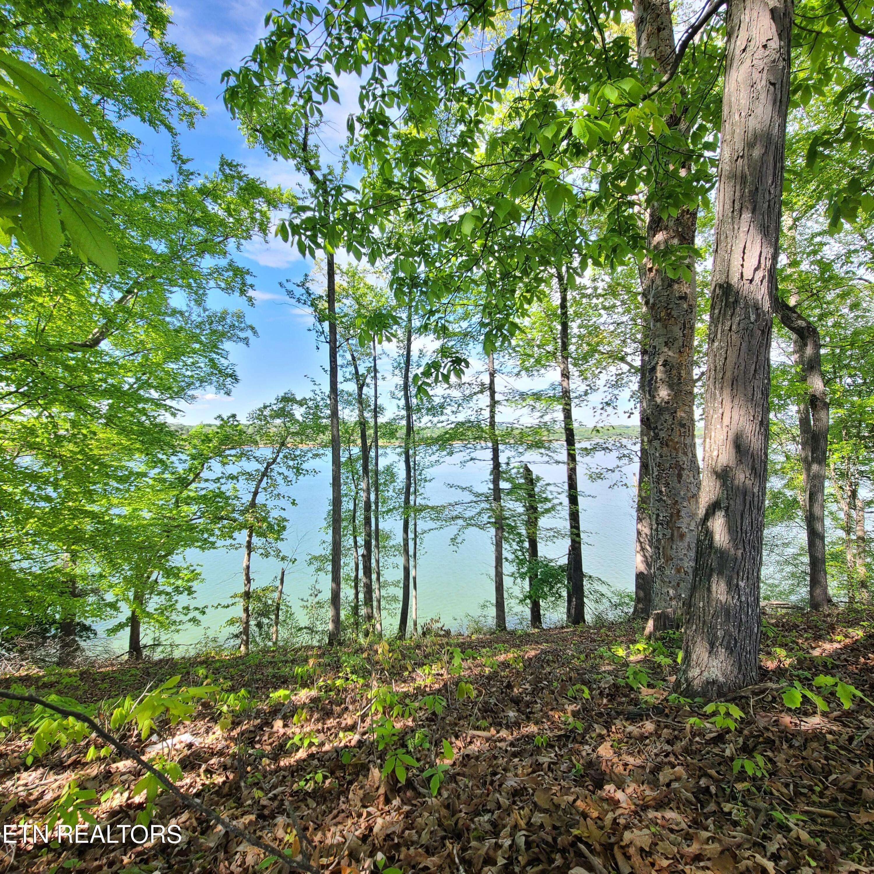 Dandridge, TN 37725,Lot 21 David Swann DR