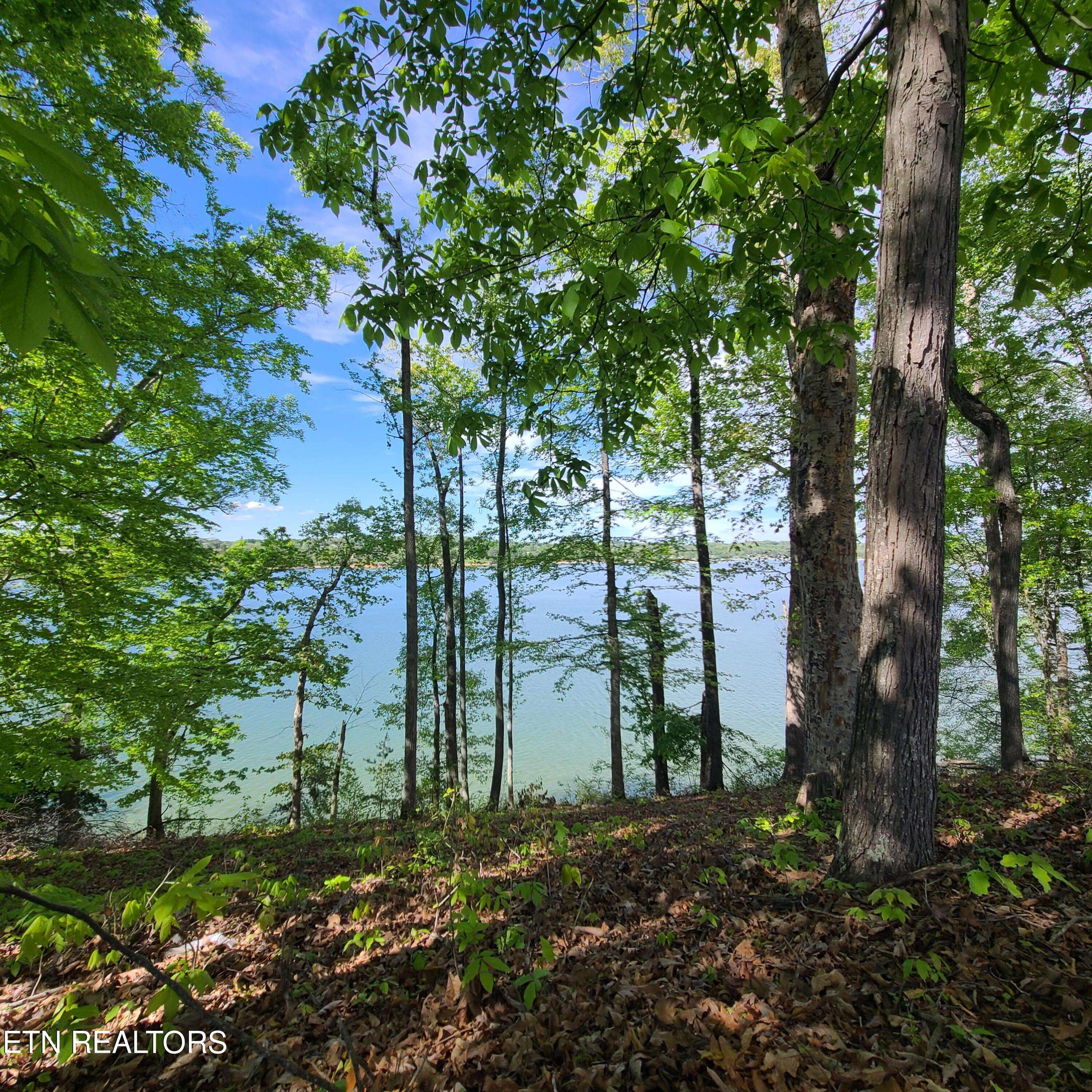 Dandridge, TN 37725,Lot 21 David Swann DR