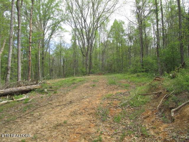 Blaine, TN 37709,Lot 10 McBee Mill Rd