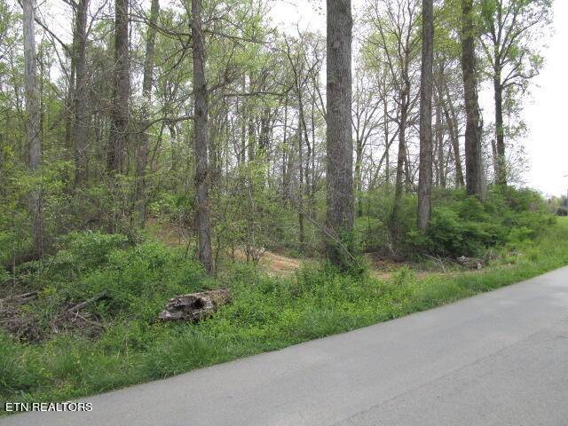 Blaine, TN 37709,Lot 10 McBee Mill Rd