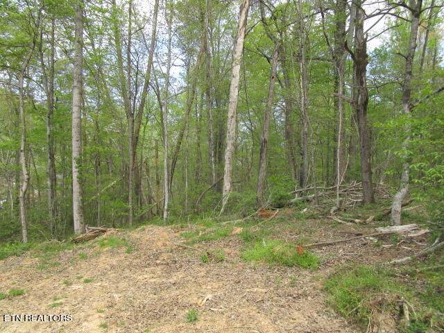 Blaine, TN 37709,Lot 10 McBee Mill Rd