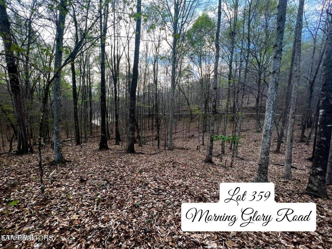 New Tazewell, TN 37825,Lot 359 Morning Glory Rd