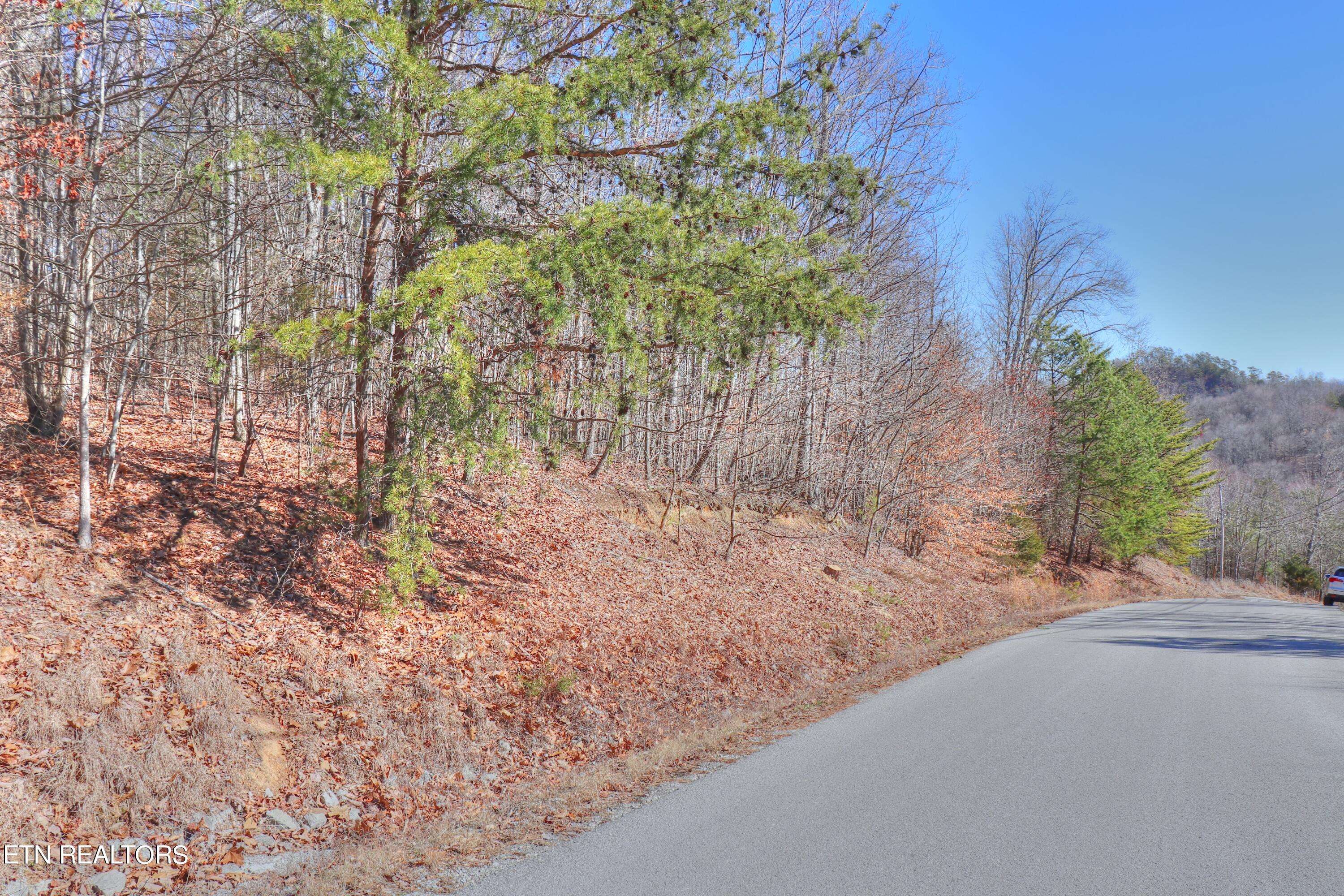 New Tazewell, TN 37825,Lot 139 Whistle Valley Rd