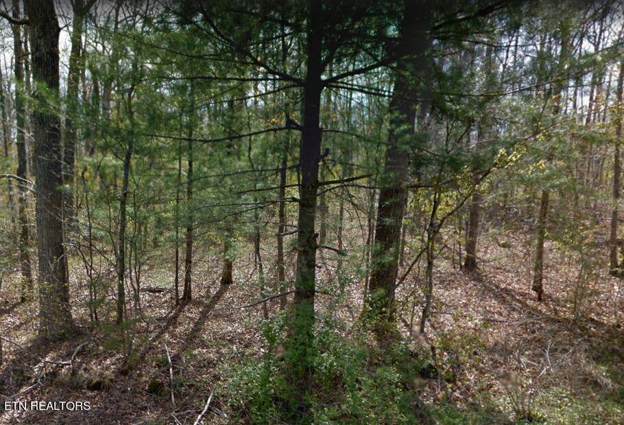 Crossville, TN 38572,3004 Nacoma DR