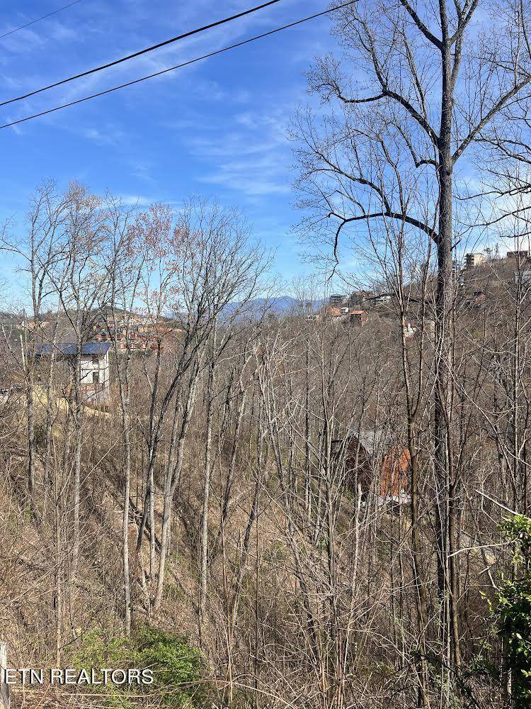 Gatlinburg, TN 37738,Pinecrest Drive DR