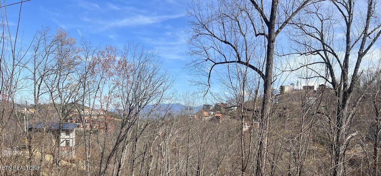 Gatlinburg, TN 37738,Pinecrest Drive DR