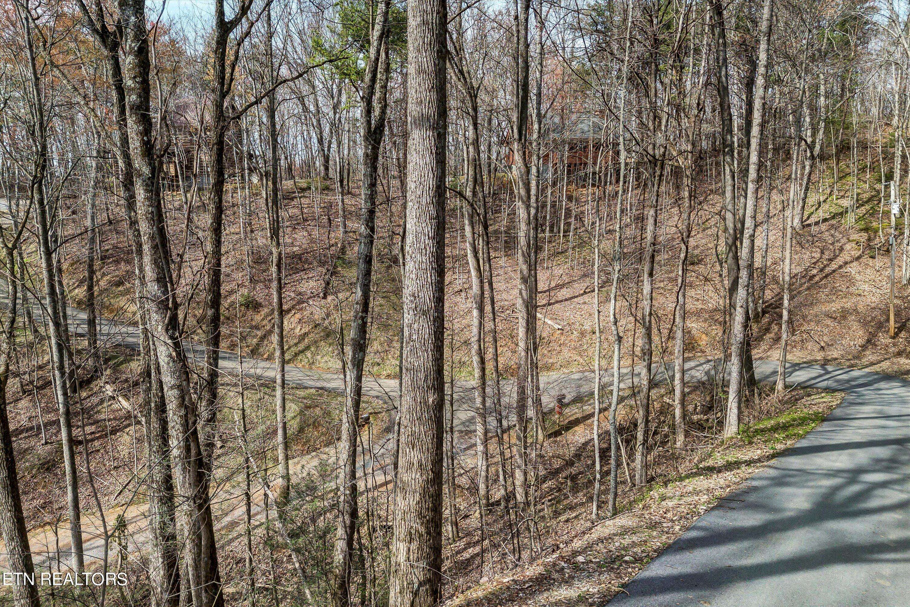 Sevierville, TN 37876,Lot 194A Ski View LN