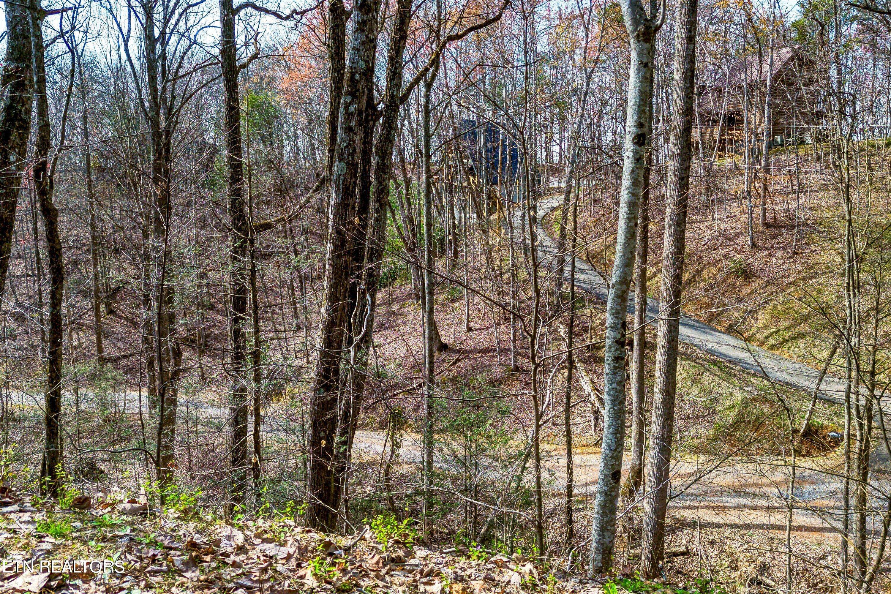 Sevierville, TN 37876,Lot 194A Ski View LN