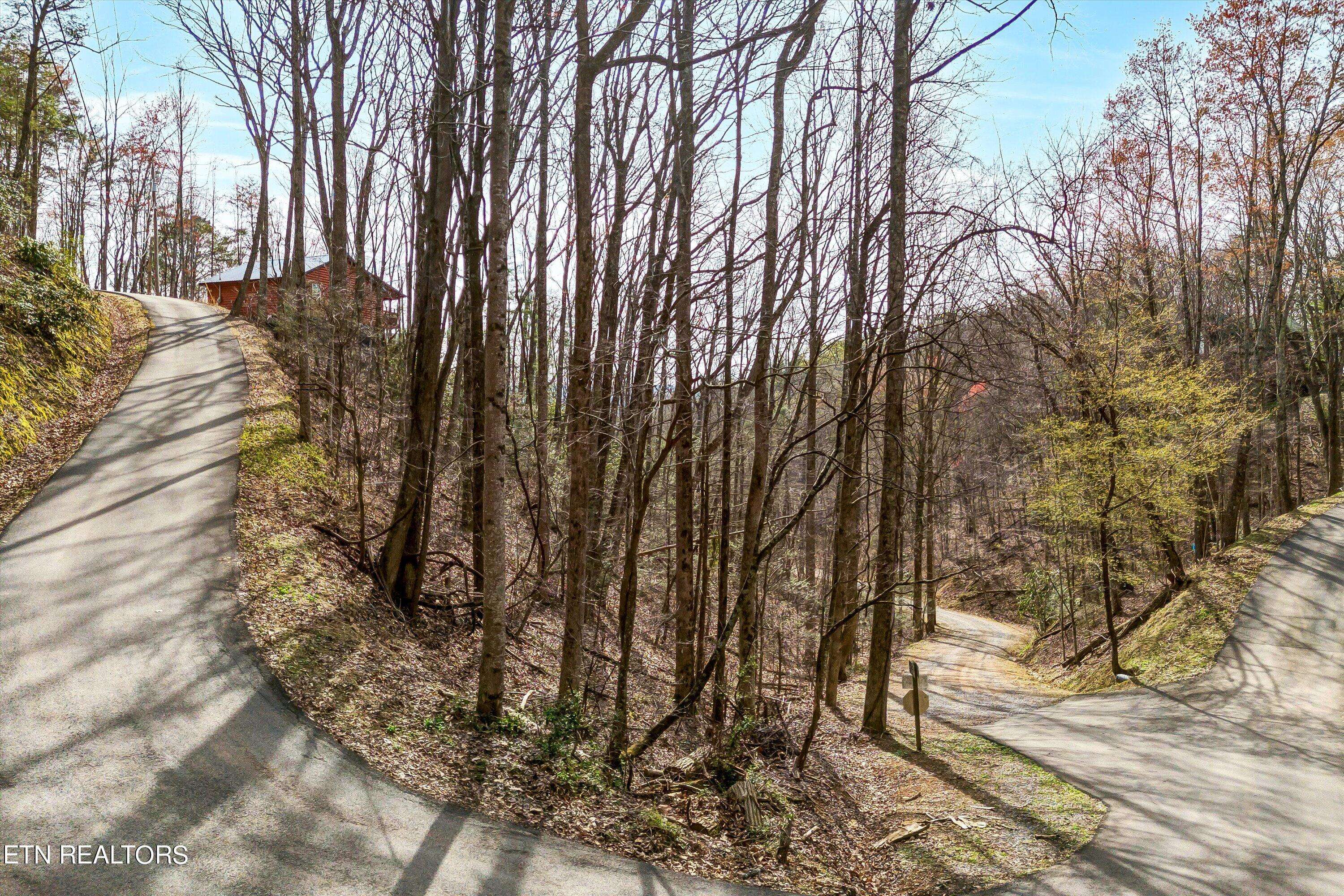 Sevierville, TN 37876,Lot 194A Ski View LN