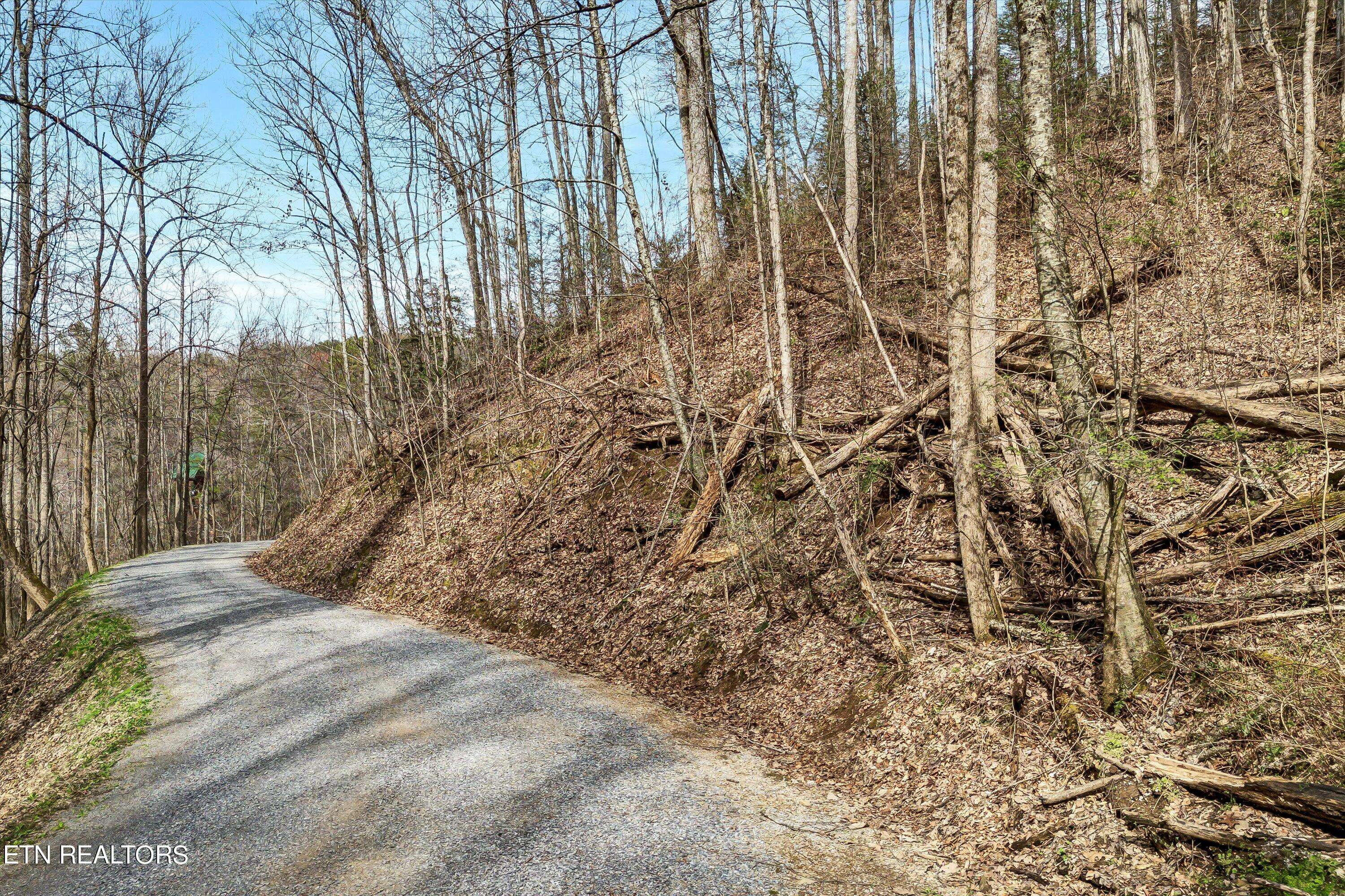 Sevierville, TN 37876,Lot 345A Lamons LOOP