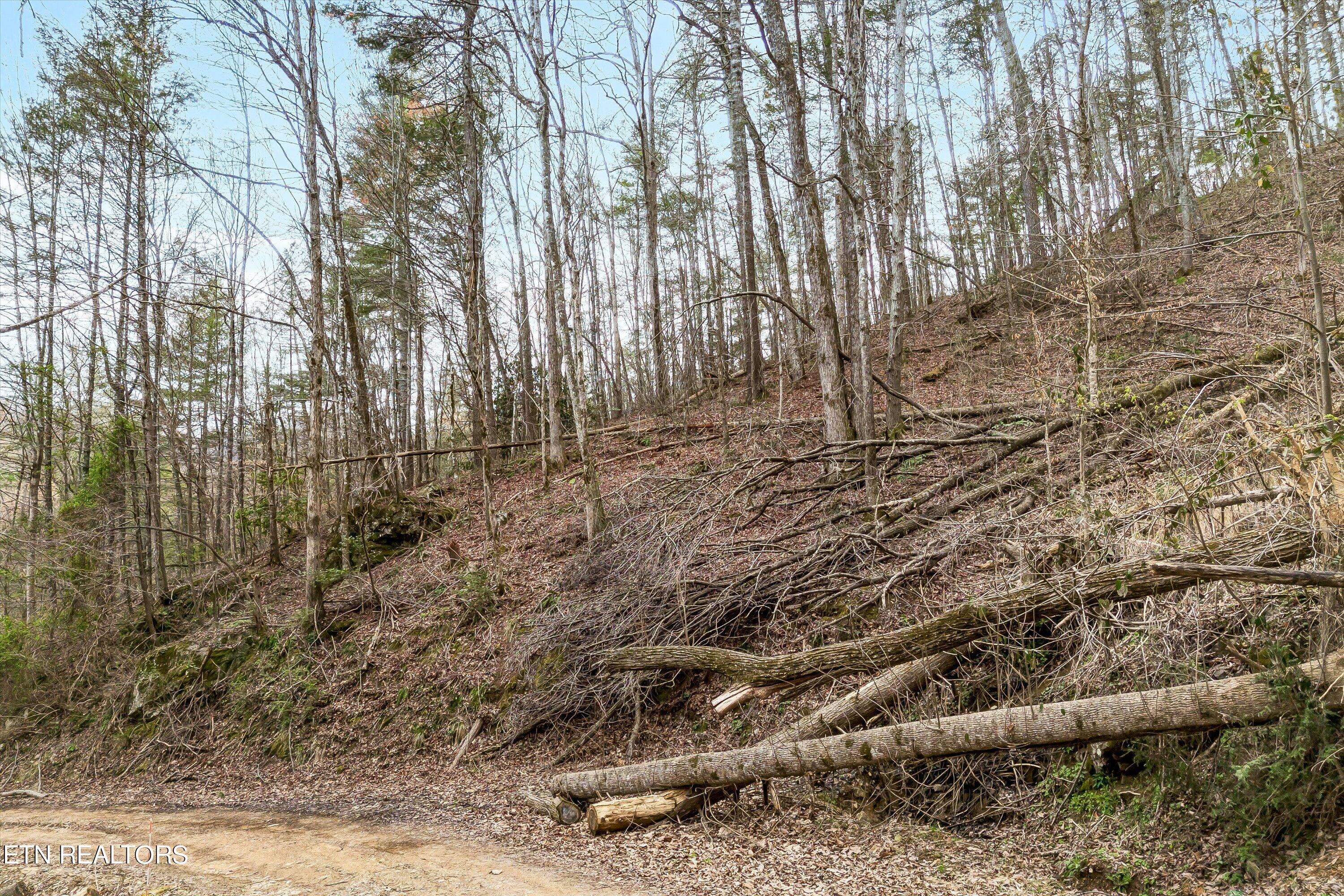 Sevierville, TN 37862,Lot 20 Meadow View Rd