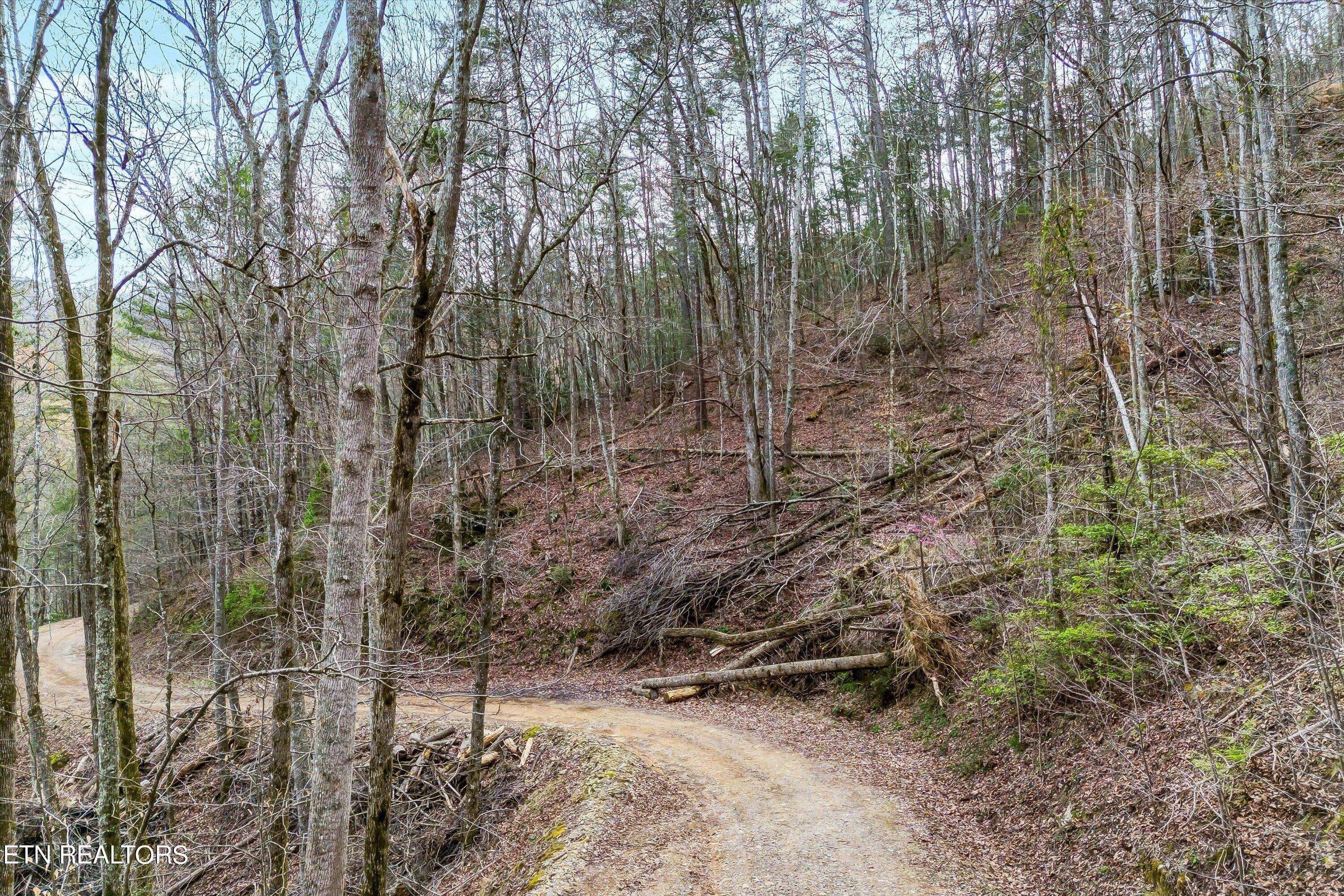 Sevierville, TN 37862,Lot 20 Meadow View Rd