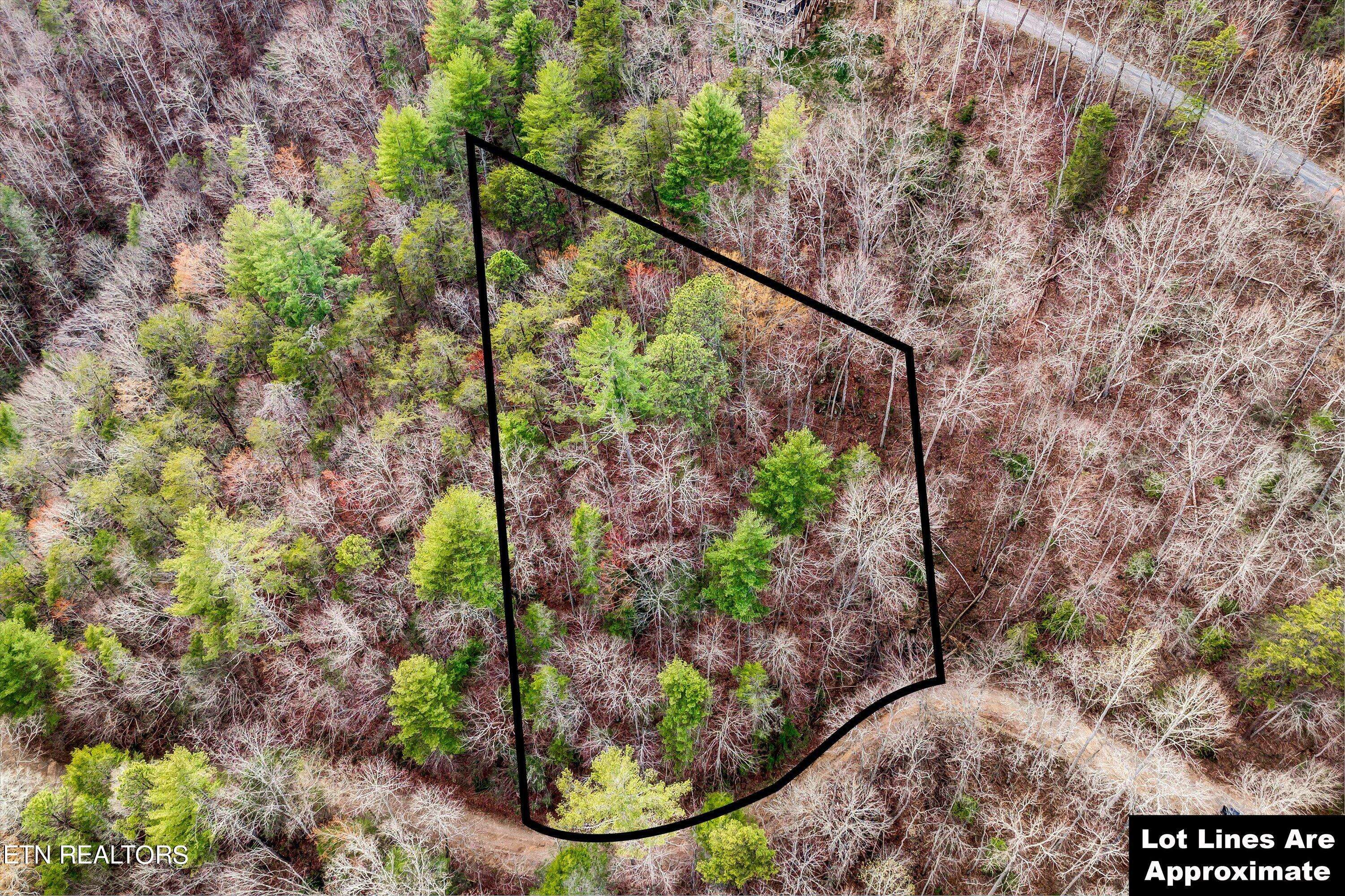 Sevierville, TN 37862,Lot 20 Meadow View Rd