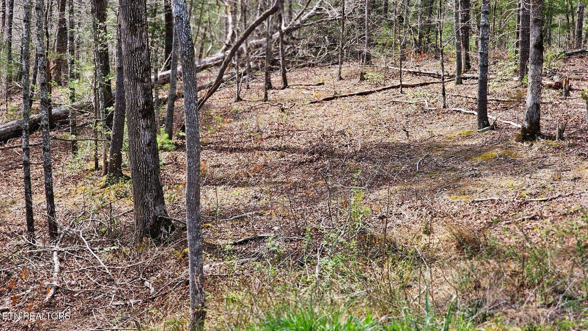 Townsend, TN 37882,328 Beckett Ridge Rd