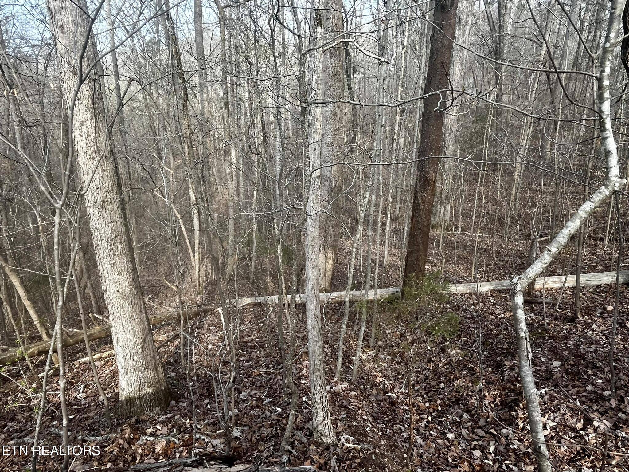 Madisonville, TN 37354,Lot 92 Polly Mountain Rd