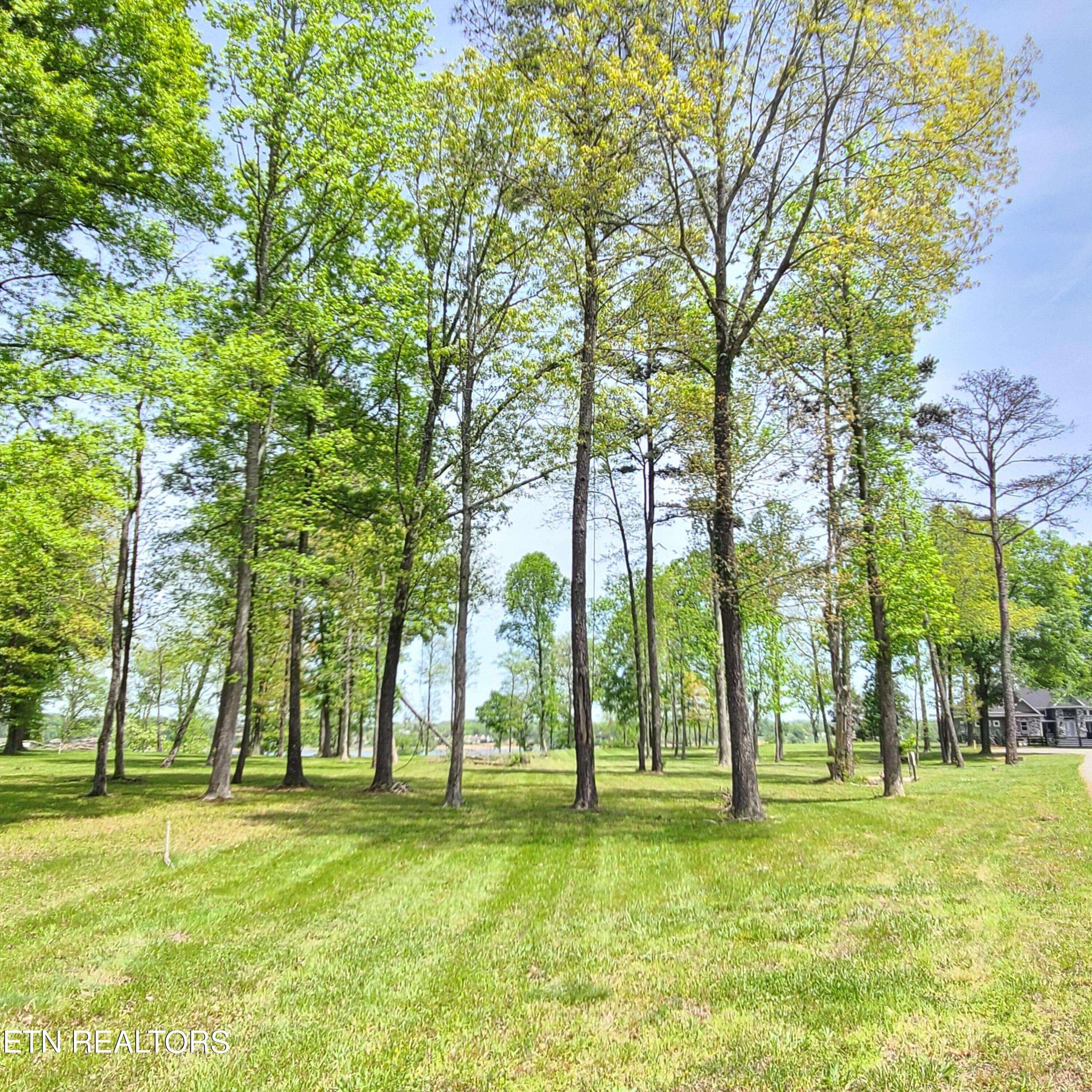 Dandridge, TN 37725,Lot 36 Waterview LN