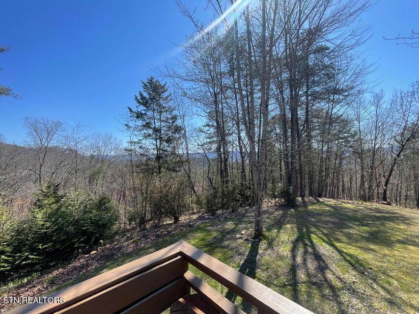 Pikeville, TN 37367,60 Alder LN