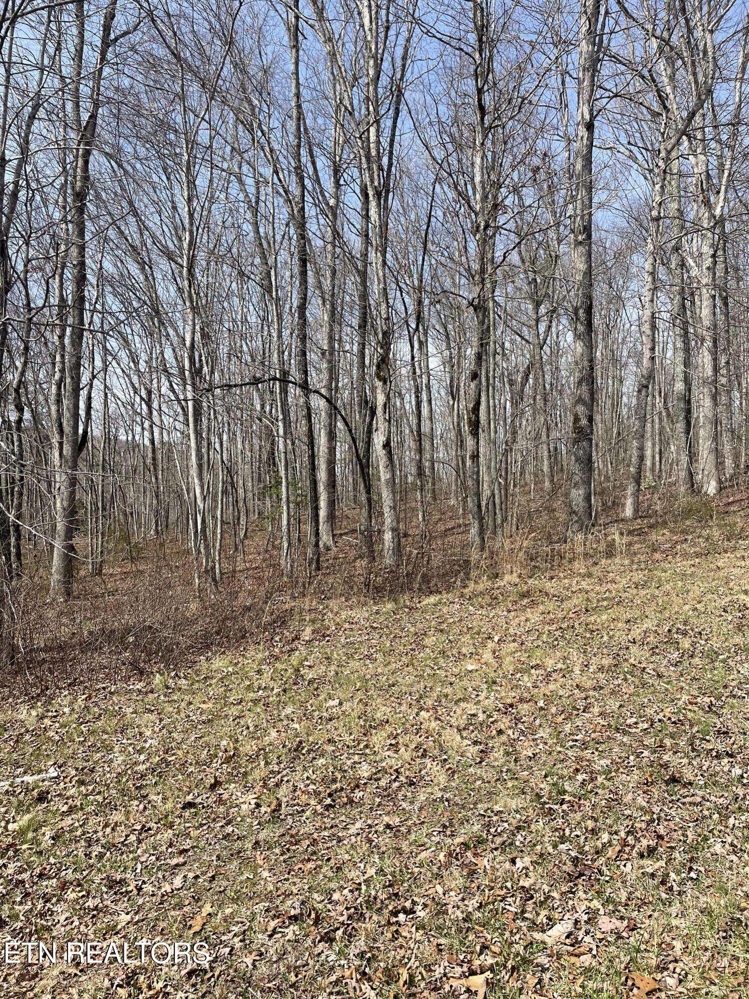 Graysville, TN 37338,Lot 9 Gray Creek Rd