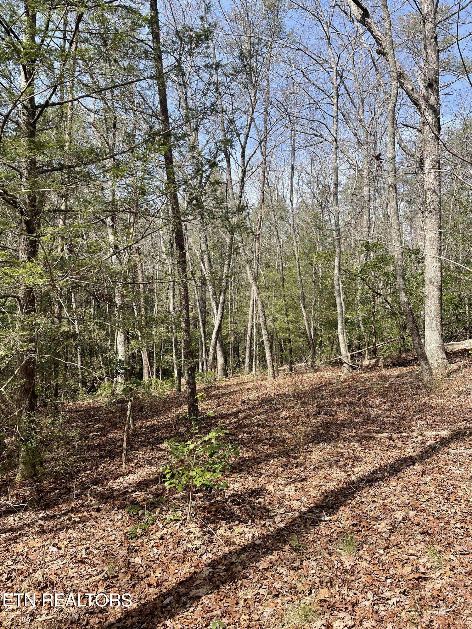 Graysville, TN 37338,Lot 9 Gray Creek Rd