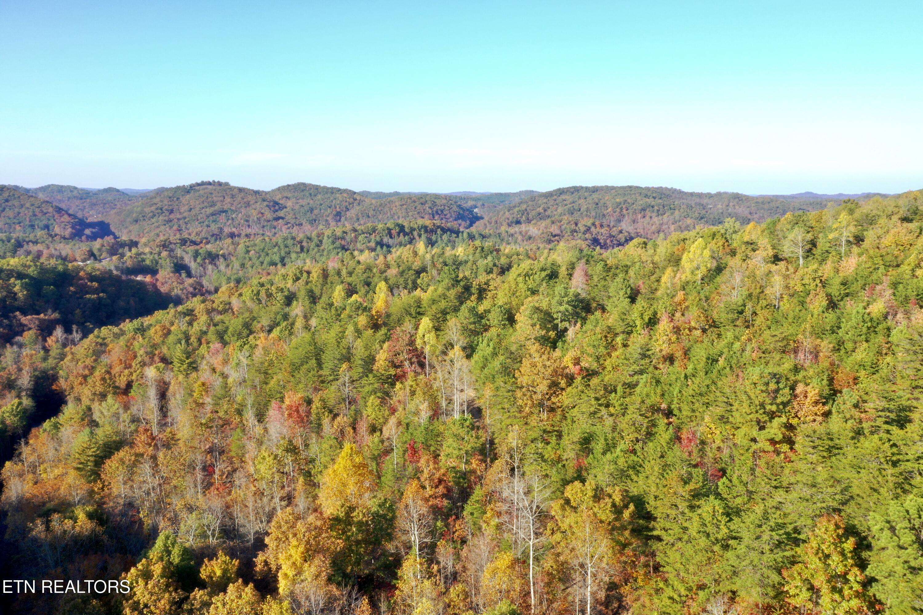 Tellico Plains, TN 37385,Laurel Creek Rd