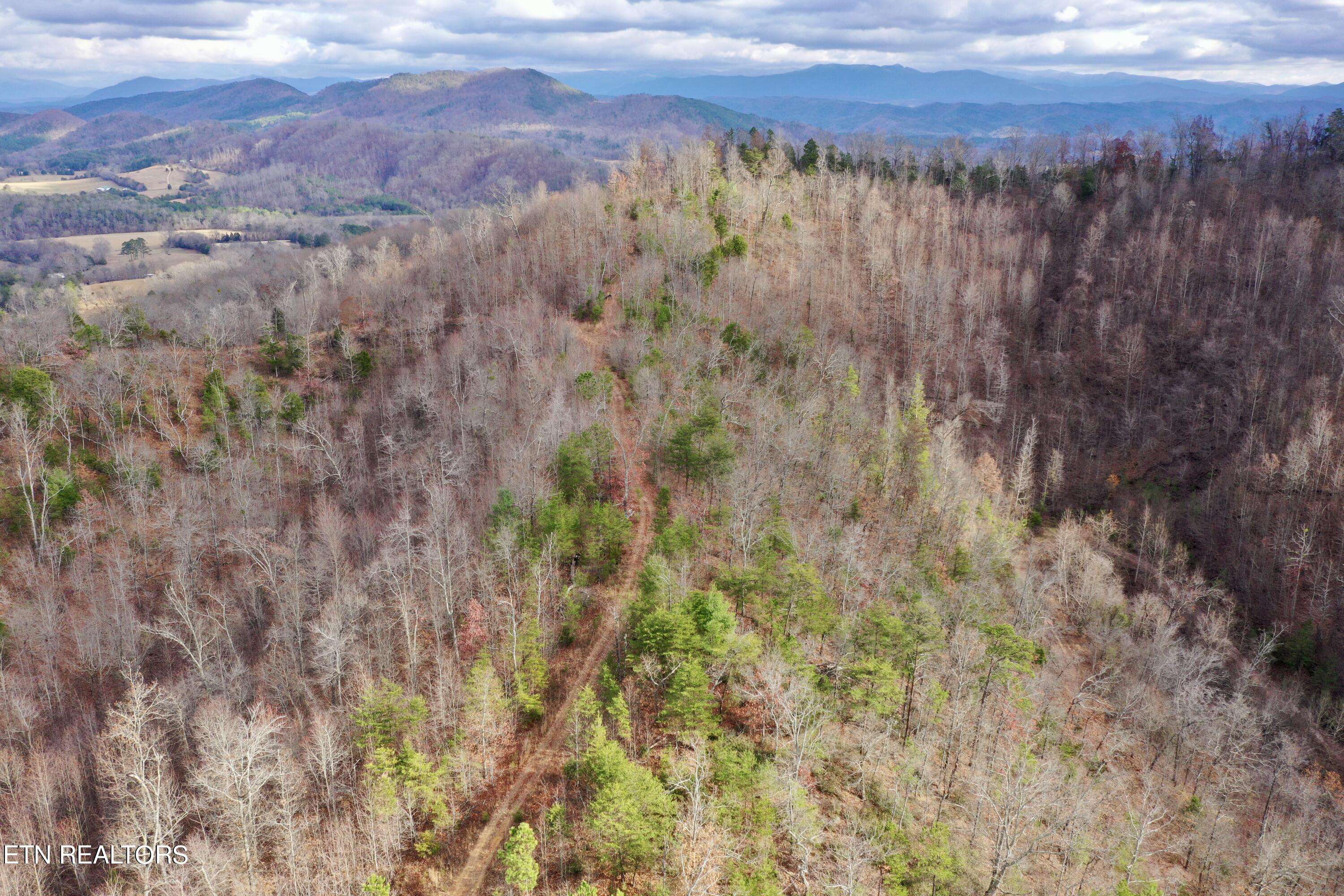 Tellico Plains, TN 37385,Laurel Creek Rd