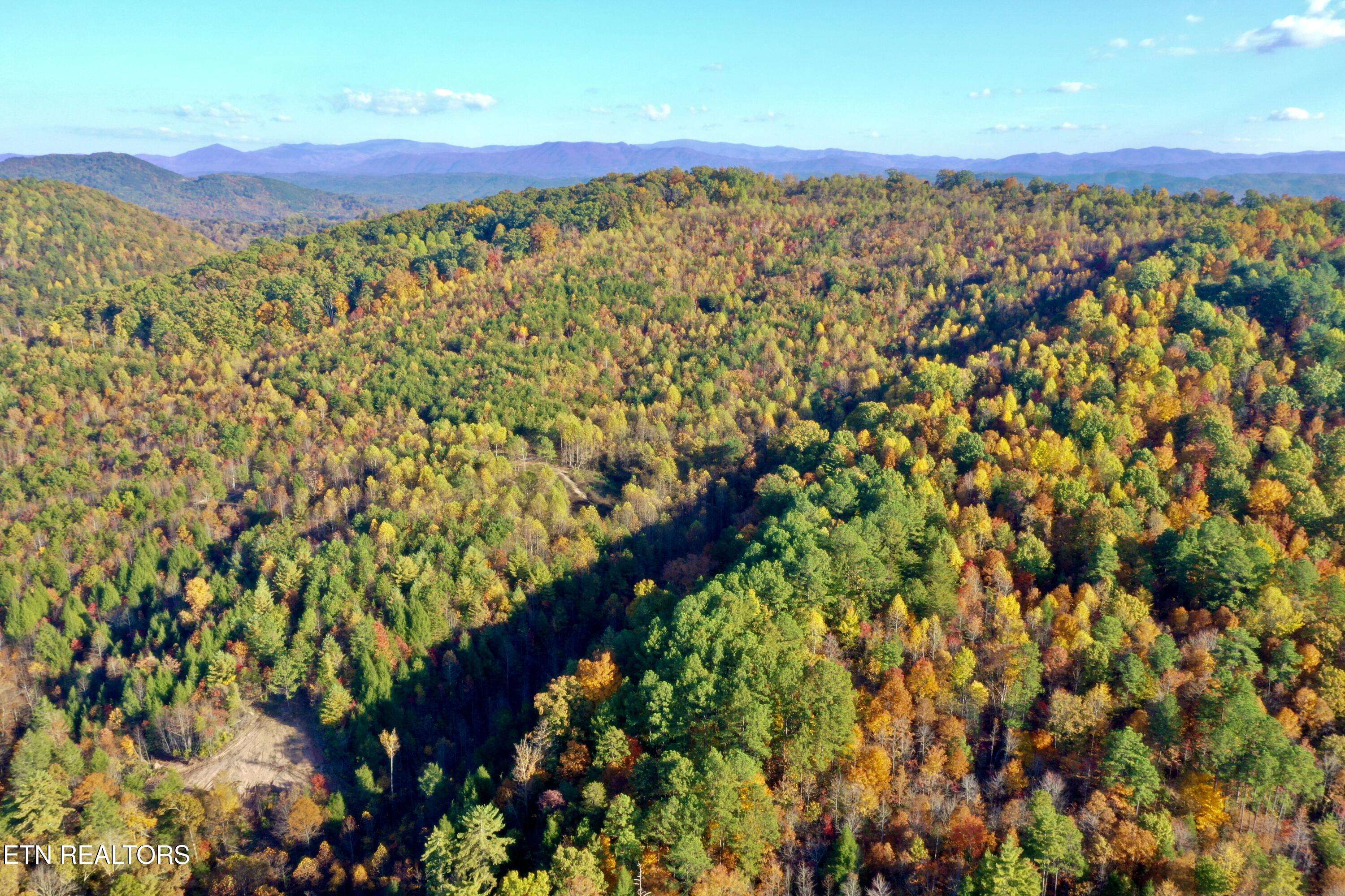 Tellico Plains, TN 37385,Laurel Creek Rd