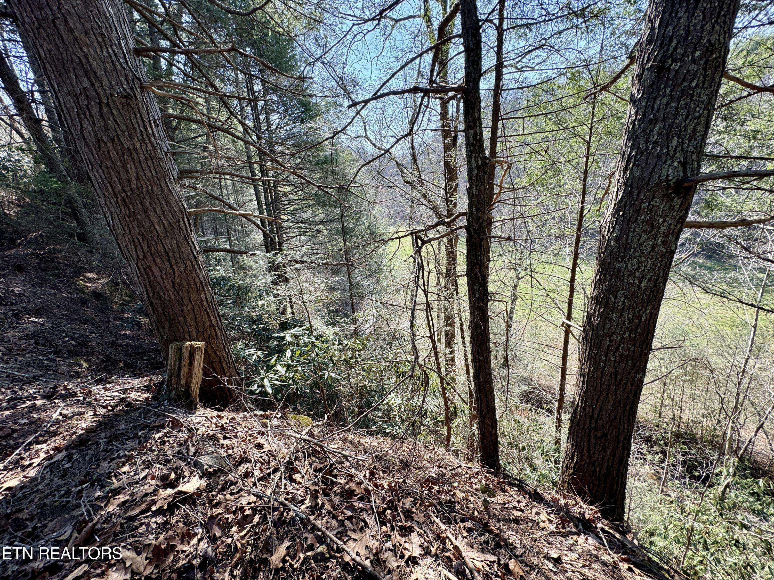 Tellico Plains, TN 37385,Laurel Creek Rd