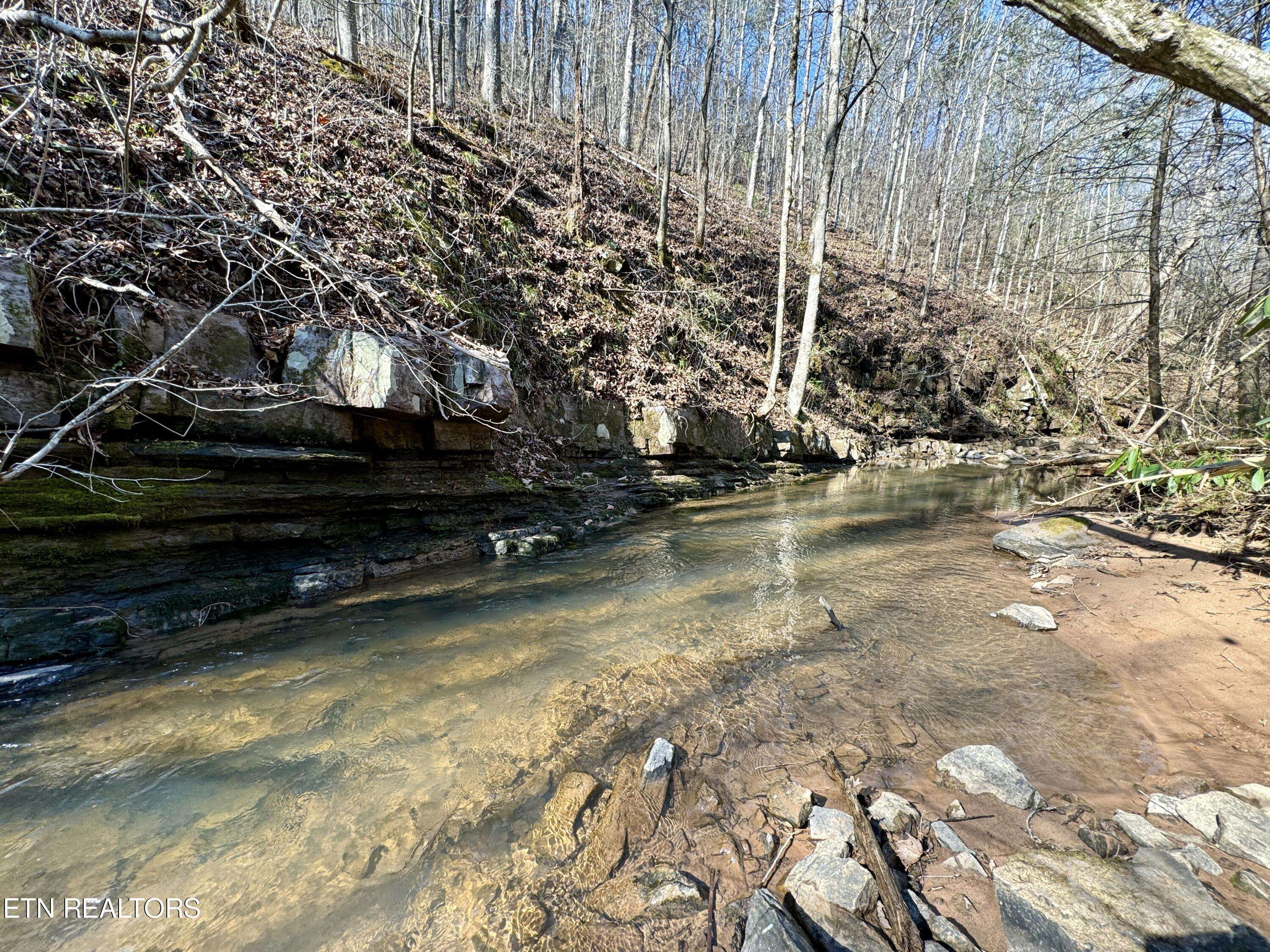 Tellico Plains, TN 37385,Laurel Creek Rd