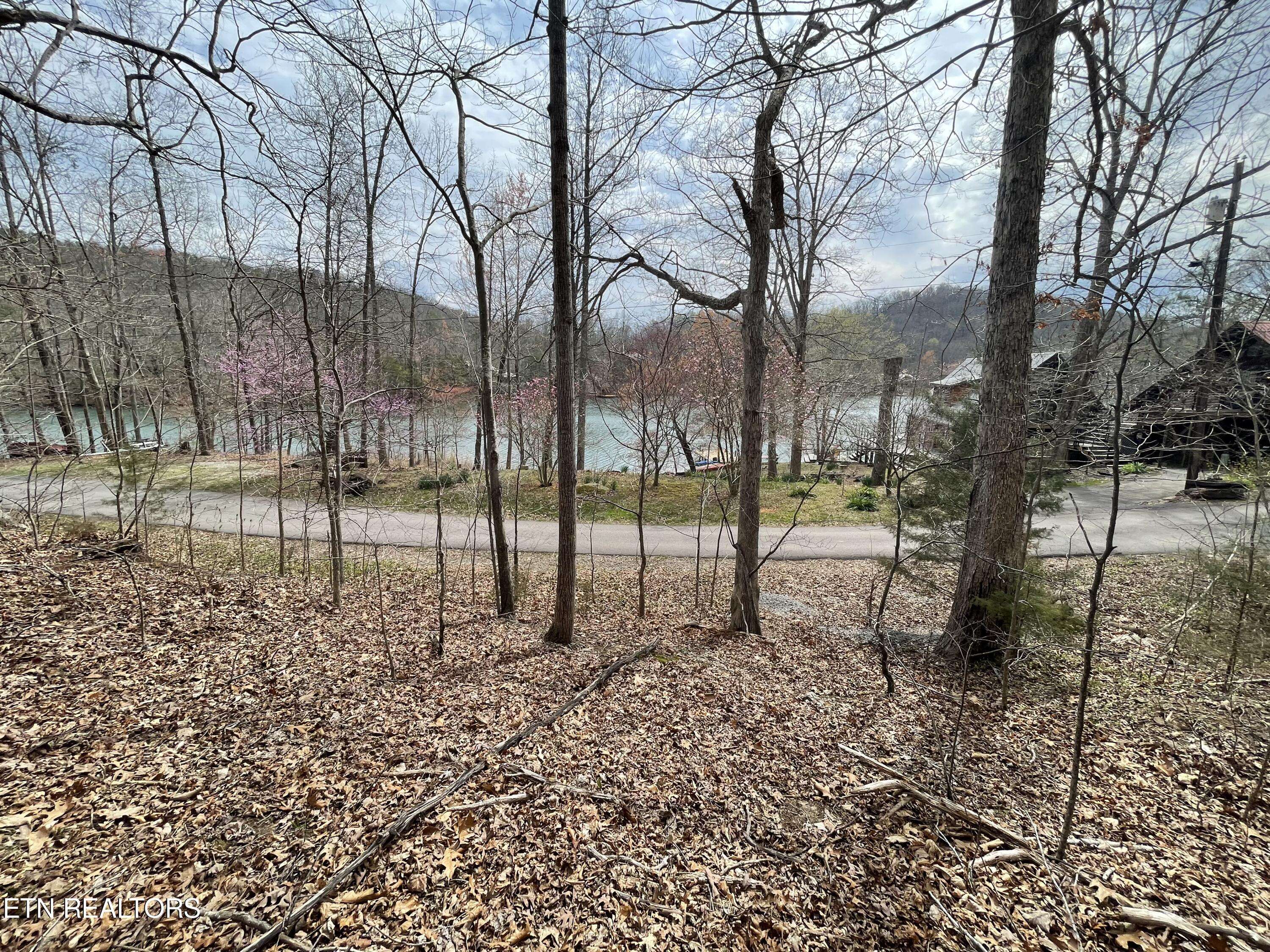 Madisonville, TN 37354,Lot120 Laurel Lake Circle