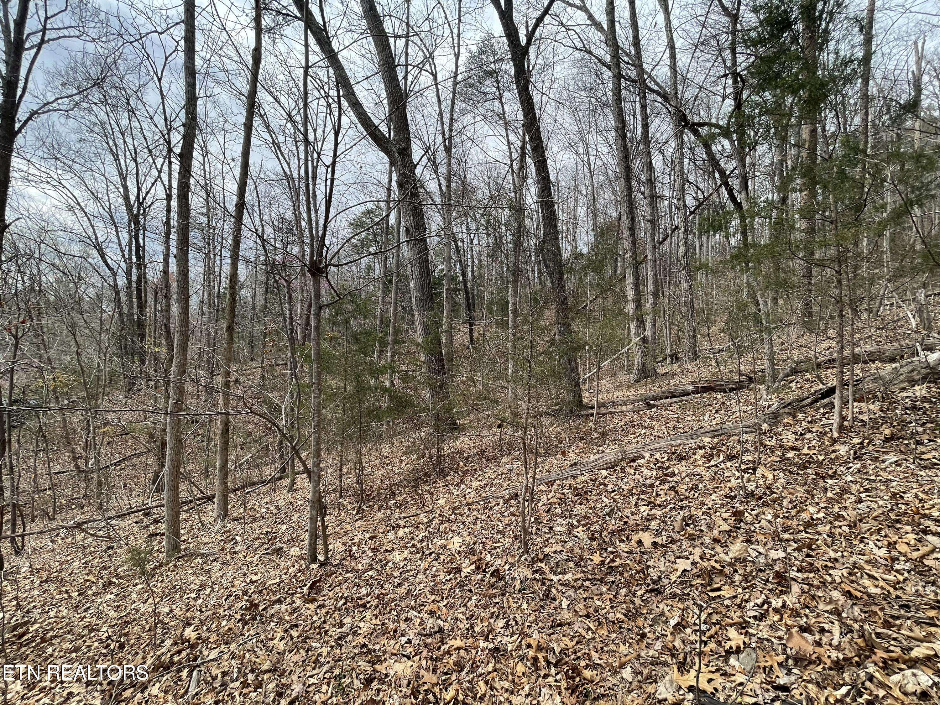 Madisonville, TN 37354,Lot120 Laurel Lake Circle