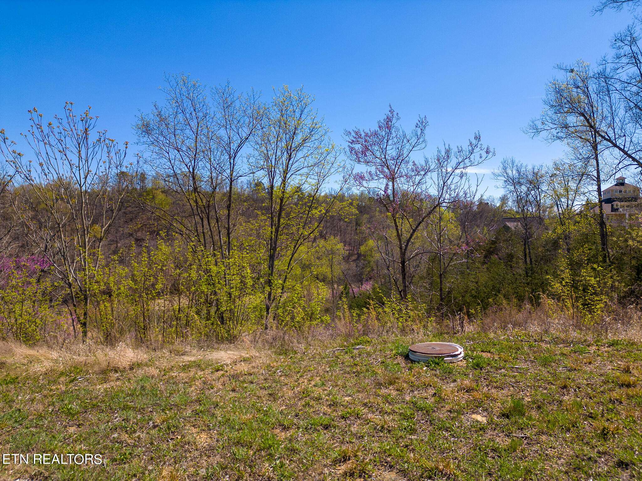 Dandridge, TN 37725,Lot 31 Stone Shore WAY