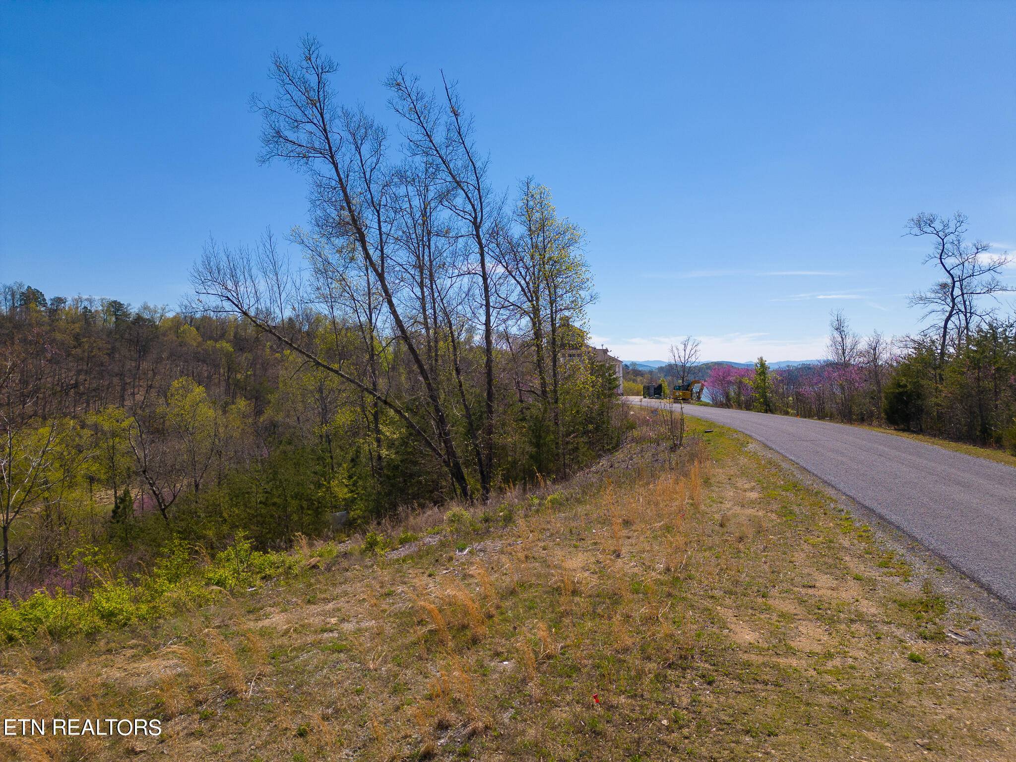 Dandridge, TN 37725,Lot 31 Stone Shore WAY