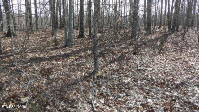 Hilham, TN 38568,Lot 1 Western Way