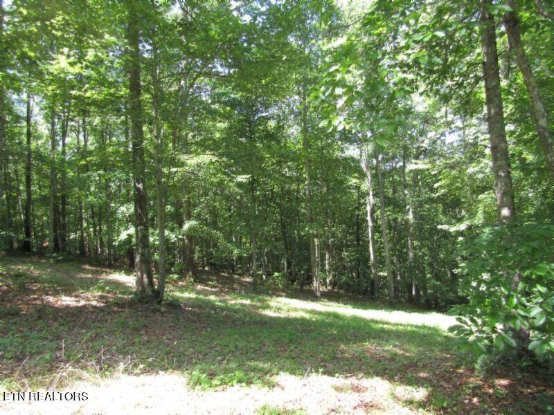 Hilham, TN 38568,Lot 1 Western Way